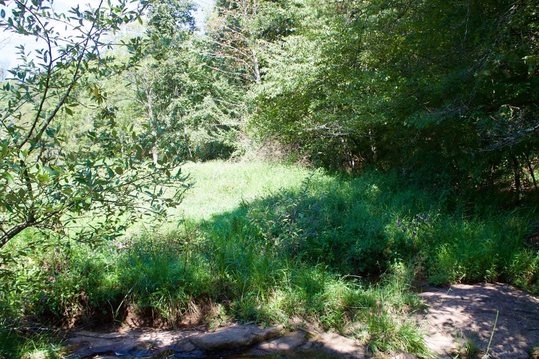 Heritage Hollow Tract 31 photo 13