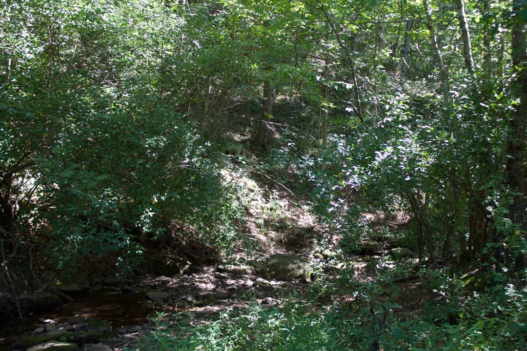 Heritage Hollow Tract 31 photo 14