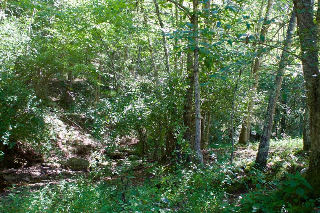 Heritage Hollow Tract 31 photo 16
