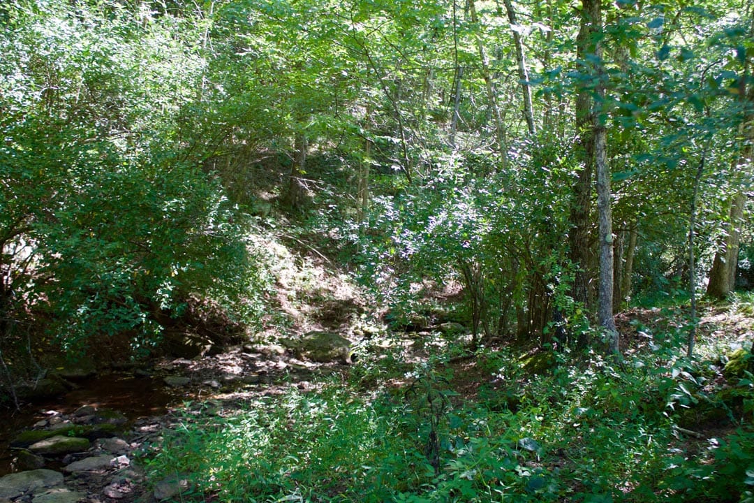 Heritage Hollow Tract 31 photo 17