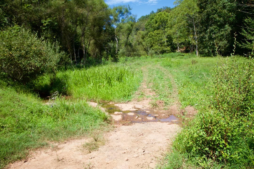 Heritage Hollow Tract 31 photo 18