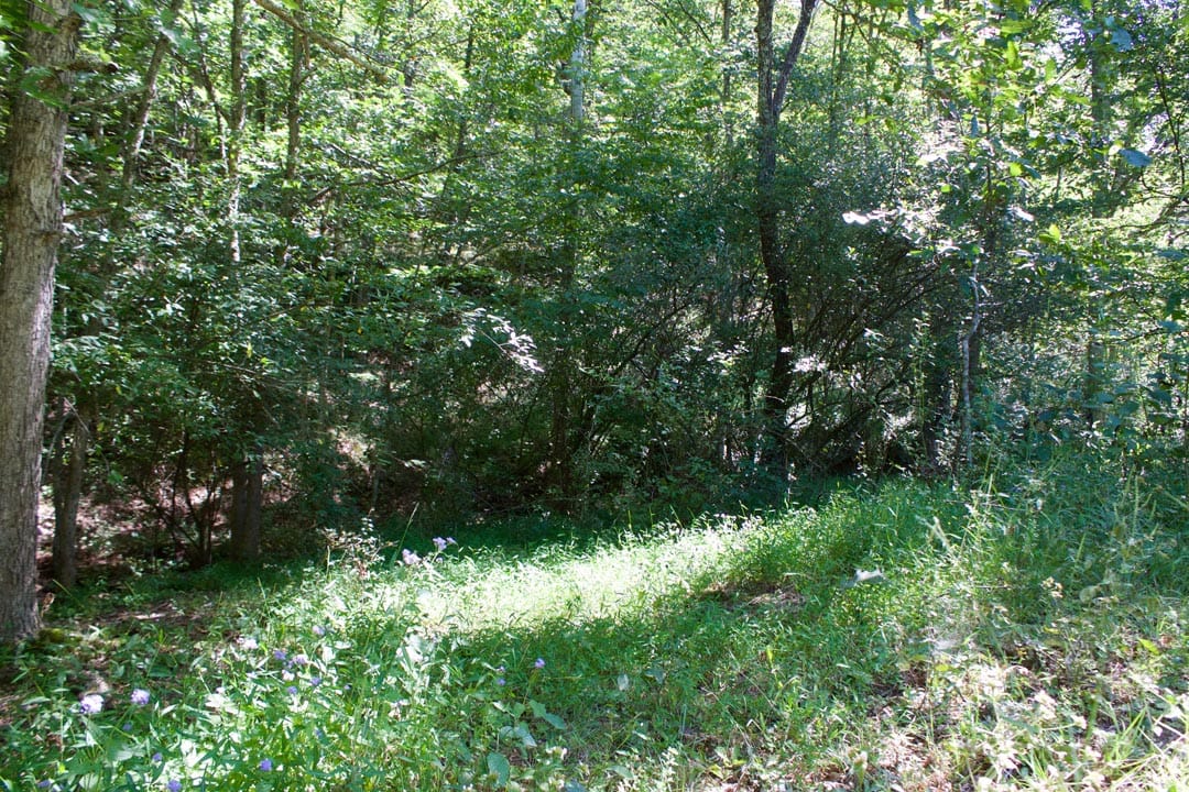 Heritage Hollow Tract 31 photo 19