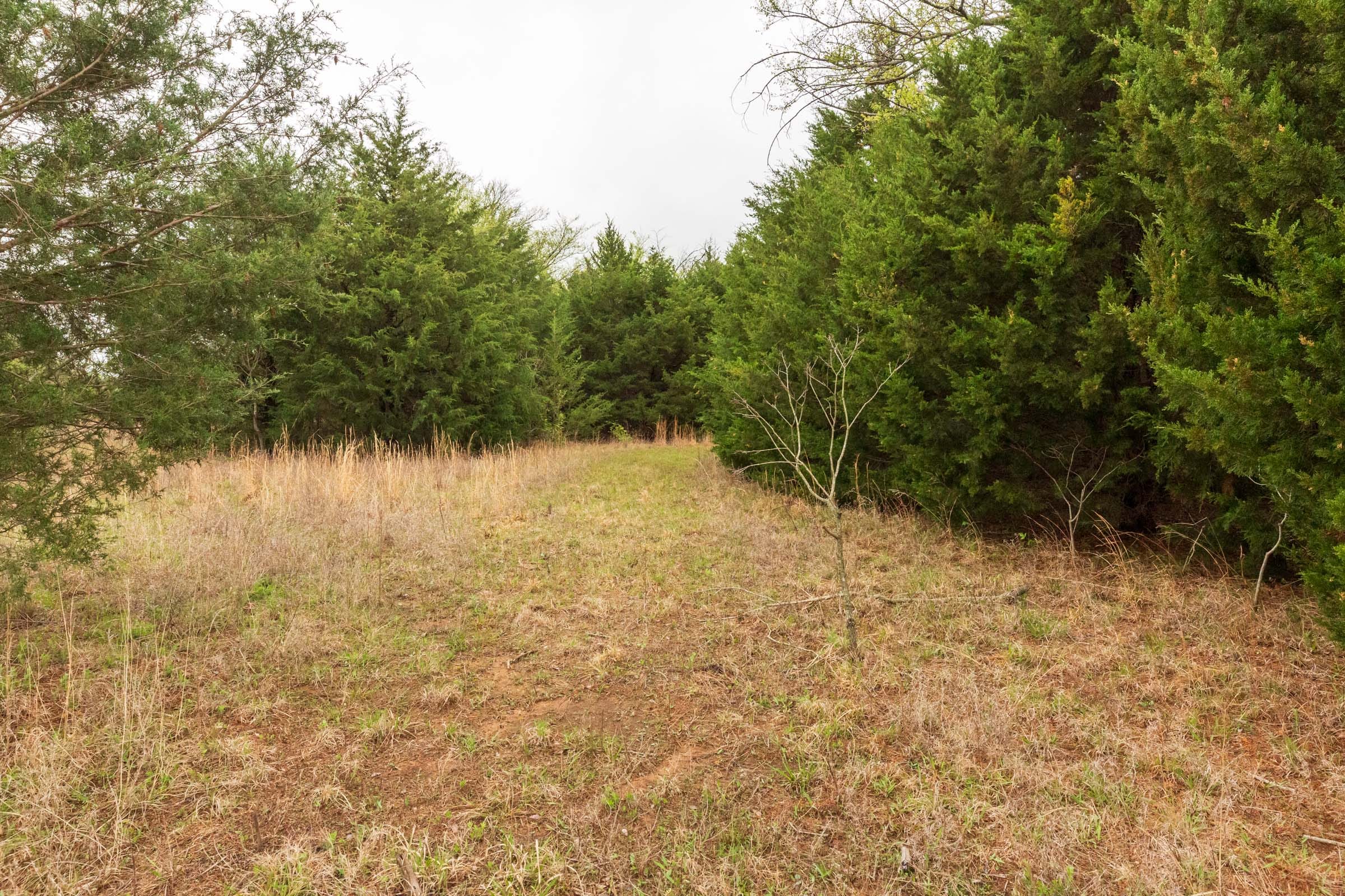 Moonrise Meadows Tract 2 photo 14