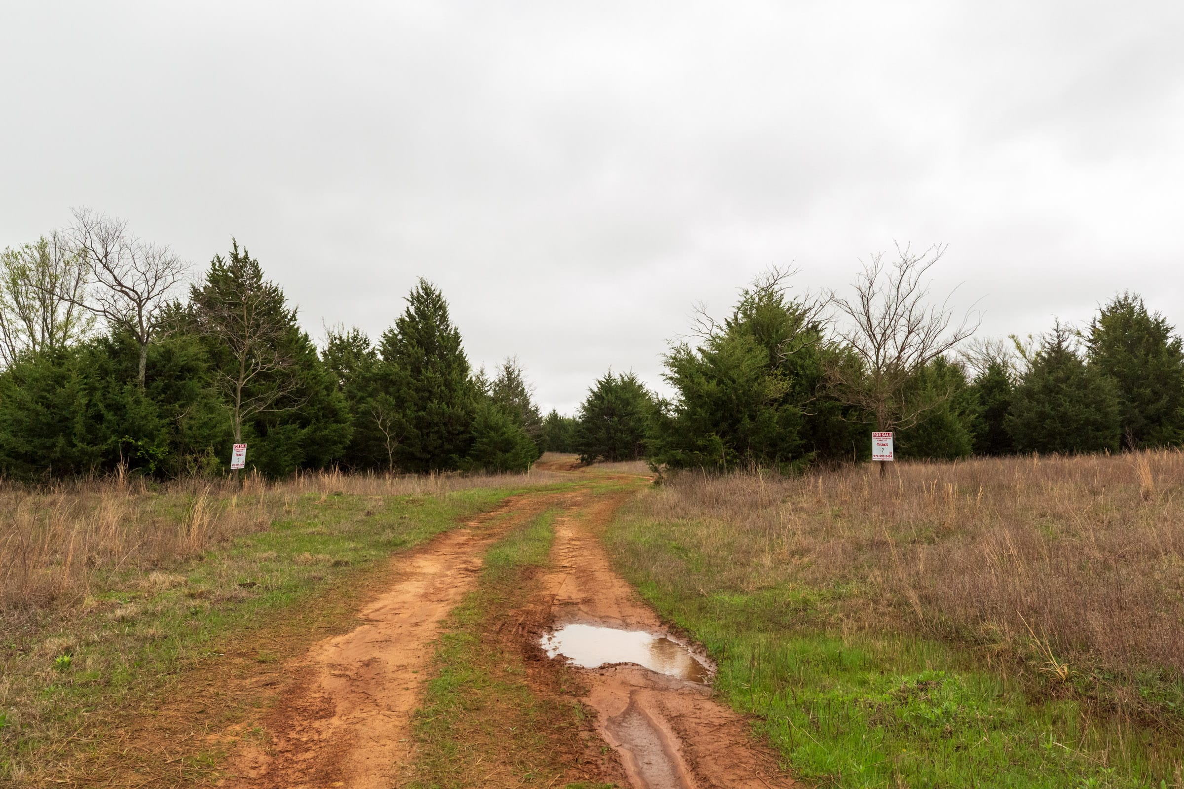 Moonrise Meadows Tract 2 photo 1