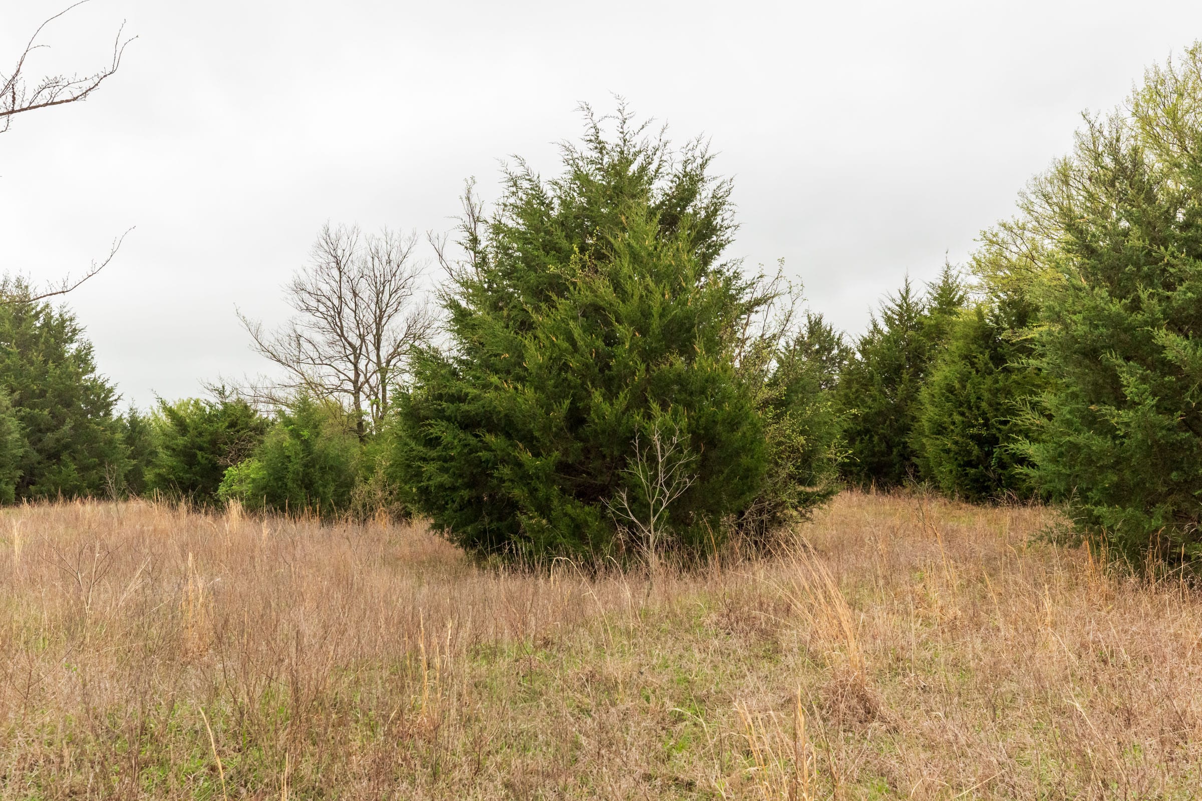 Moonrise Meadows Tract 2 photo 10