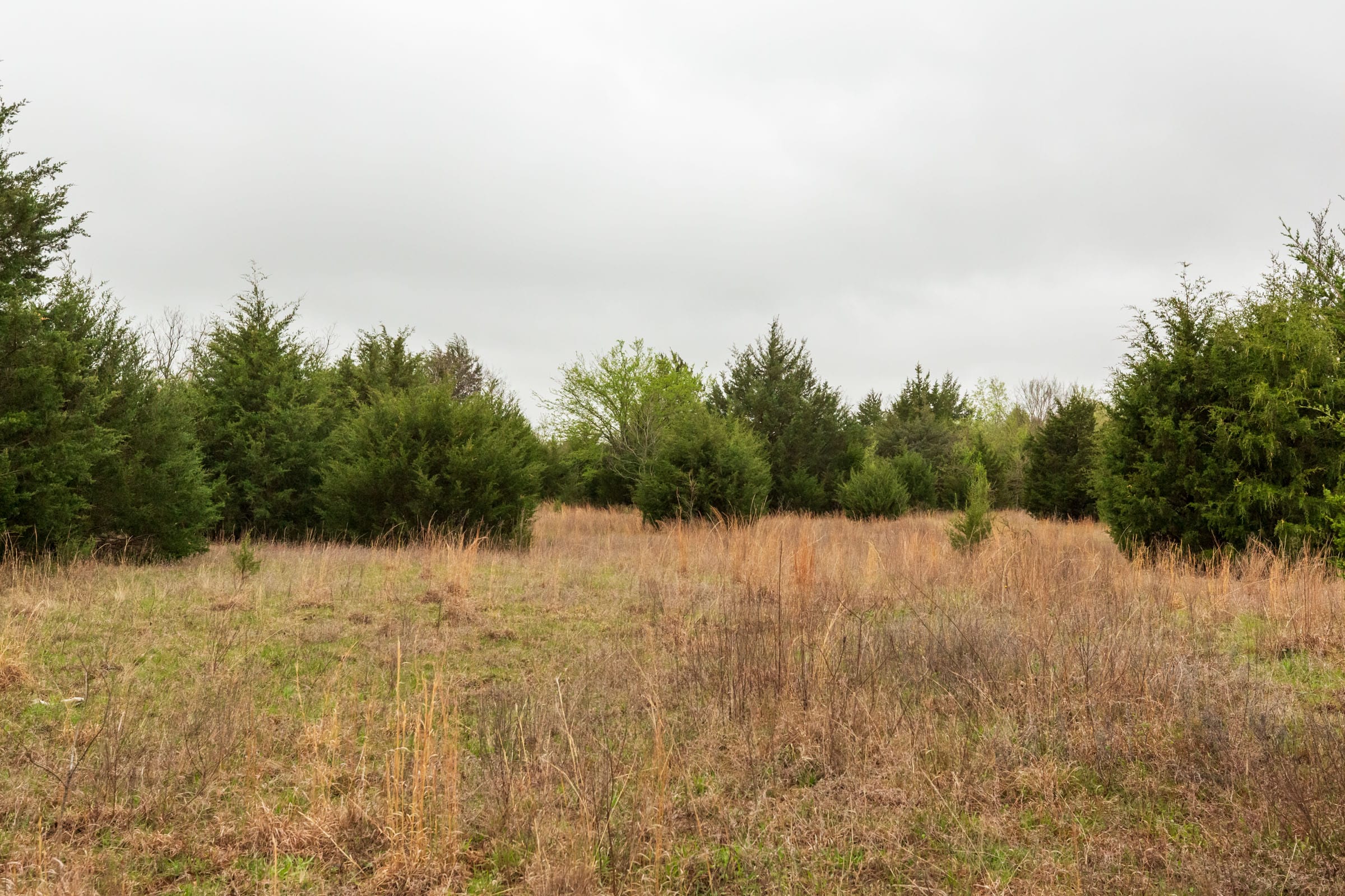 Moonrise Meadows Tract 2 photo 8