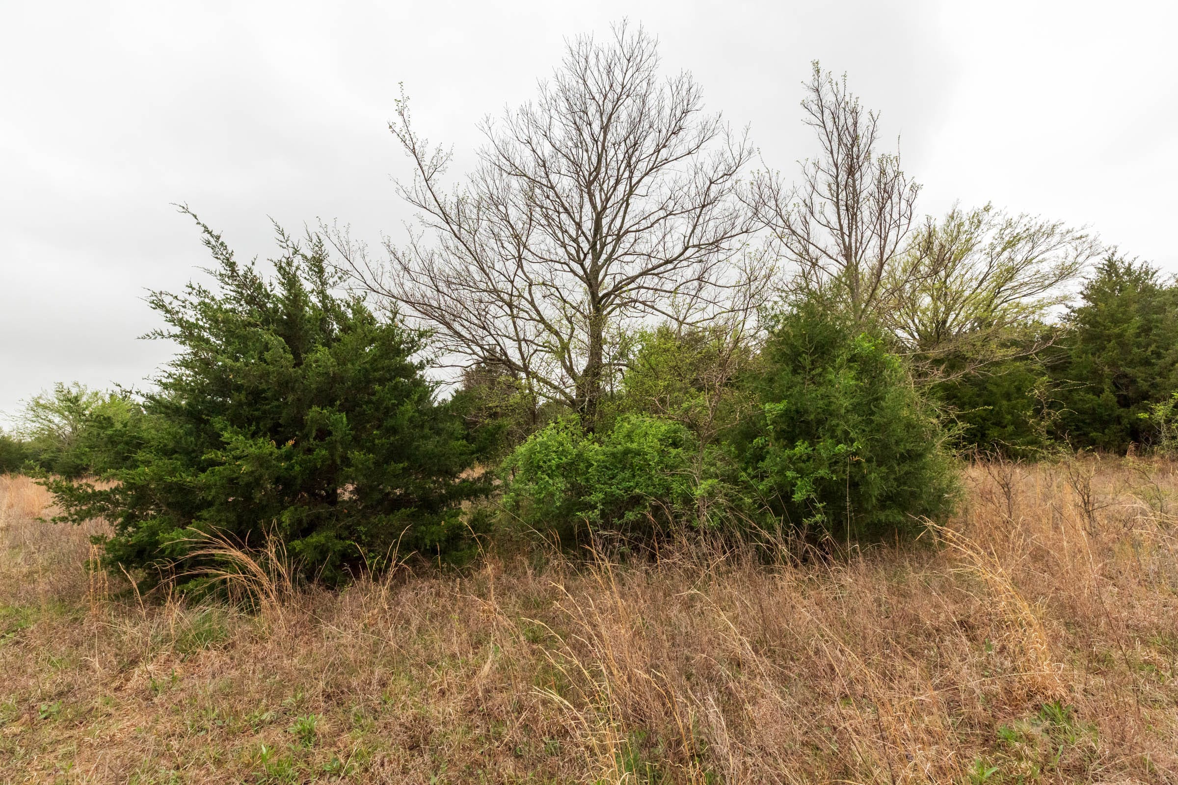 Moonrise Meadows Tract 2 photo 3