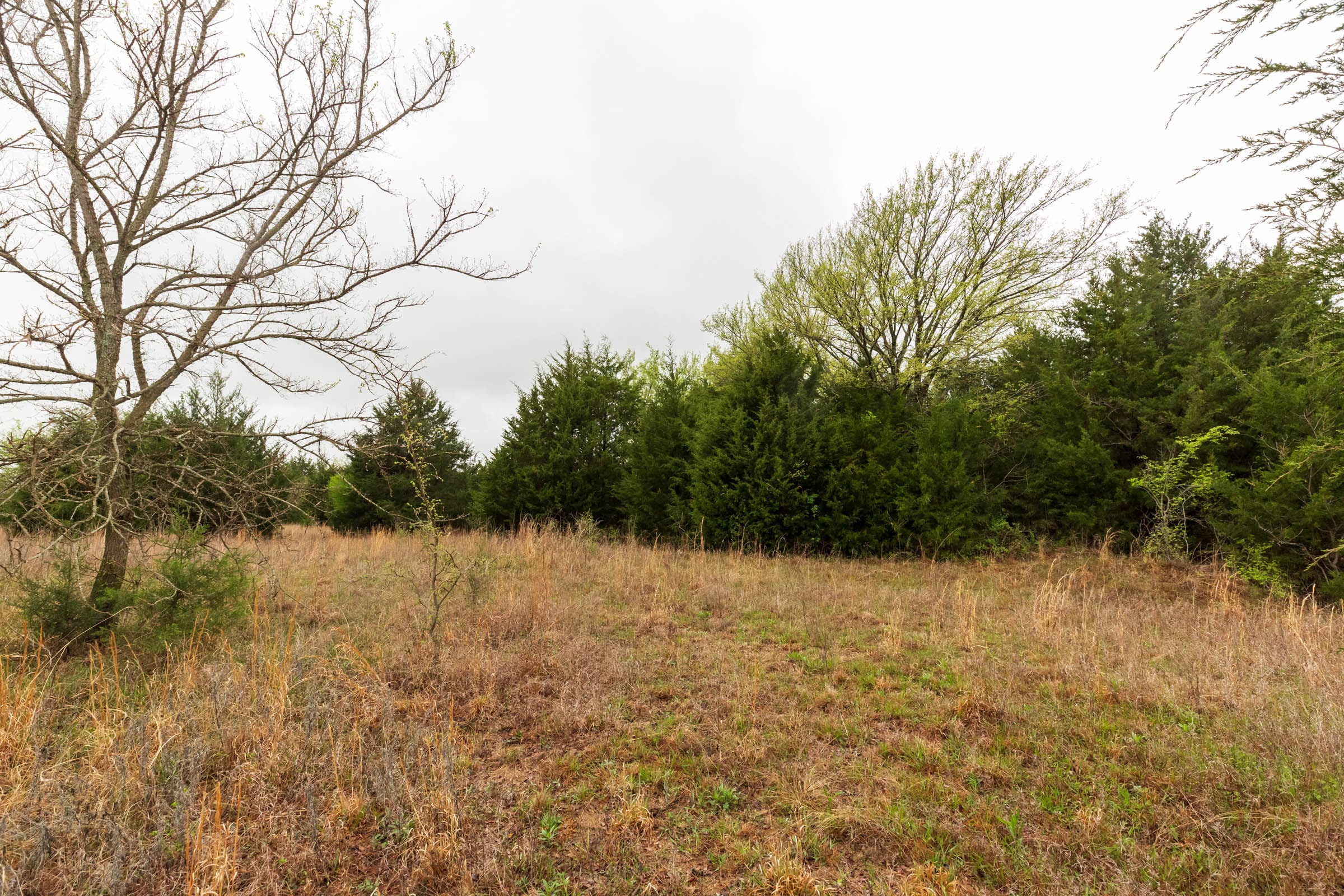 Moonrise Meadows Tract 2 photo 12