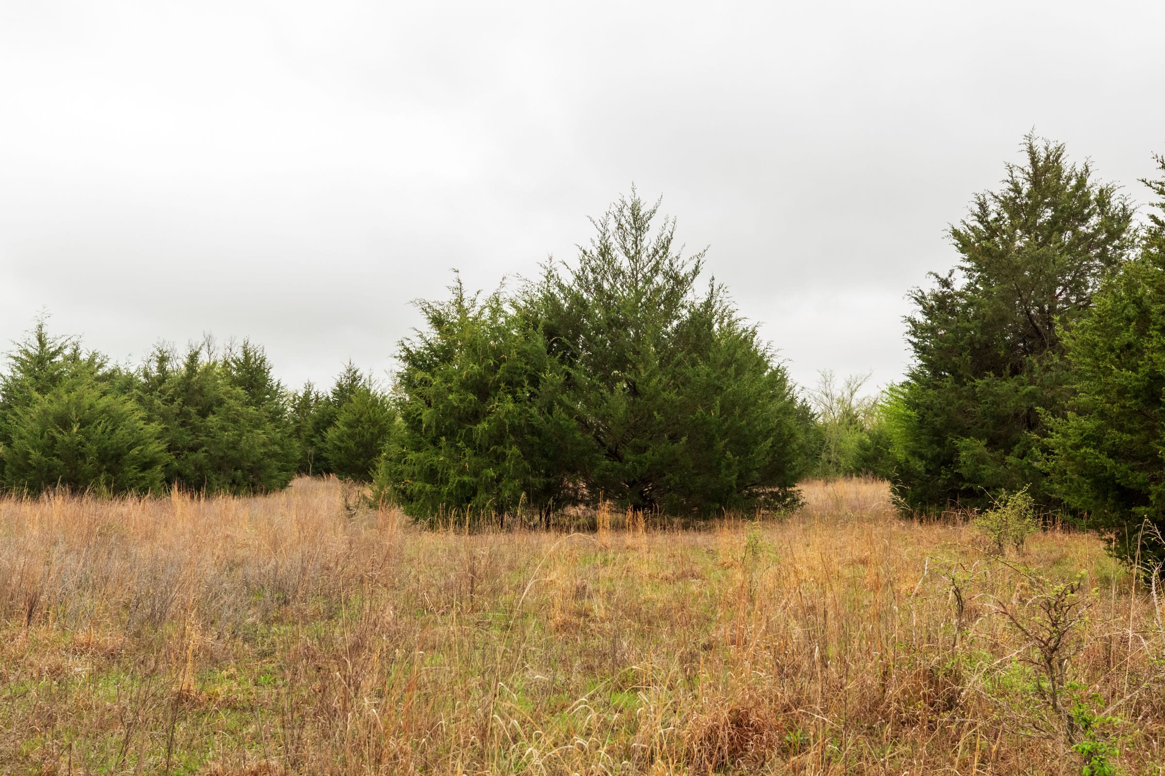 Moonrise Meadows Tract 2 photo 4