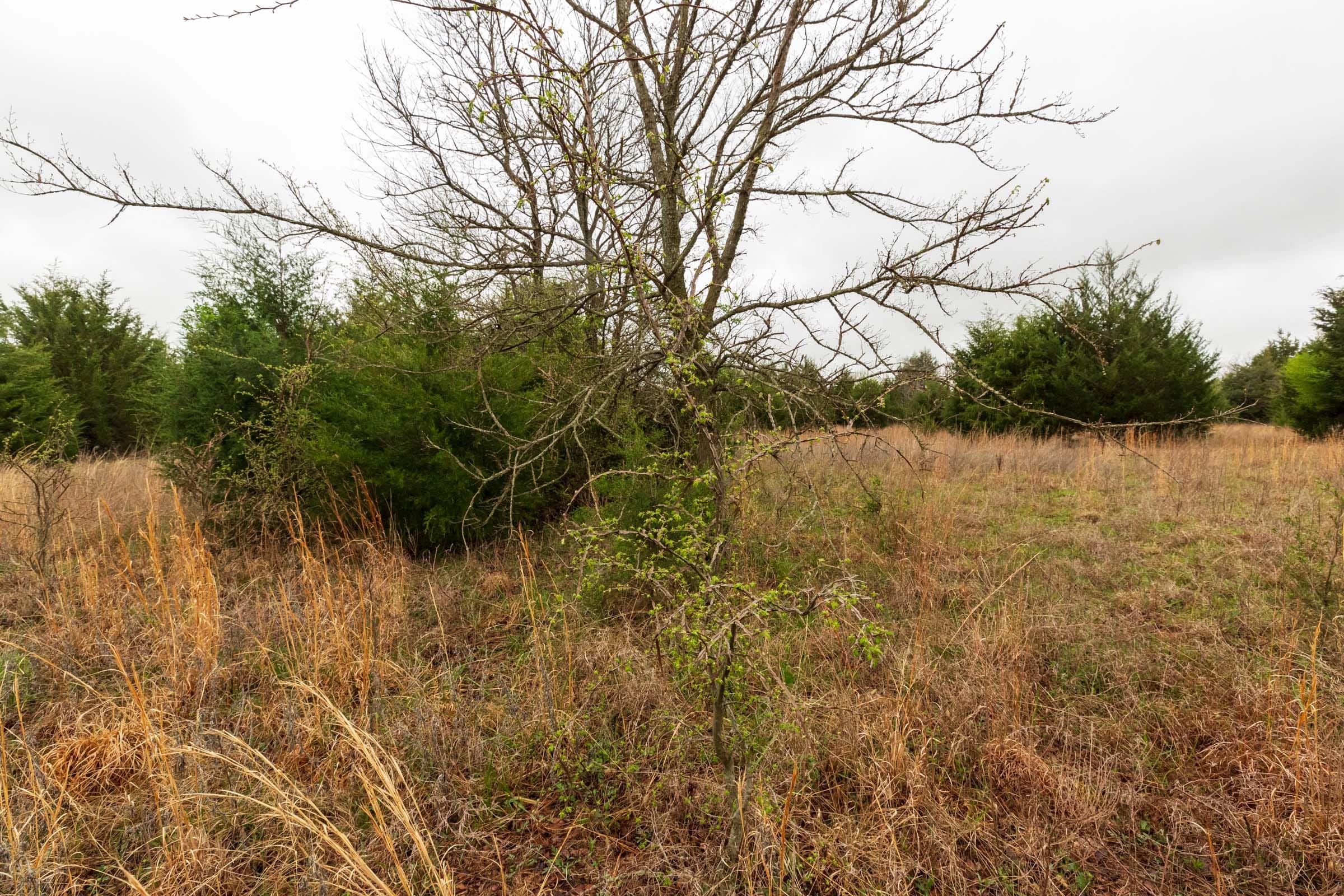 Moonrise Meadows Tract 2 photo 5