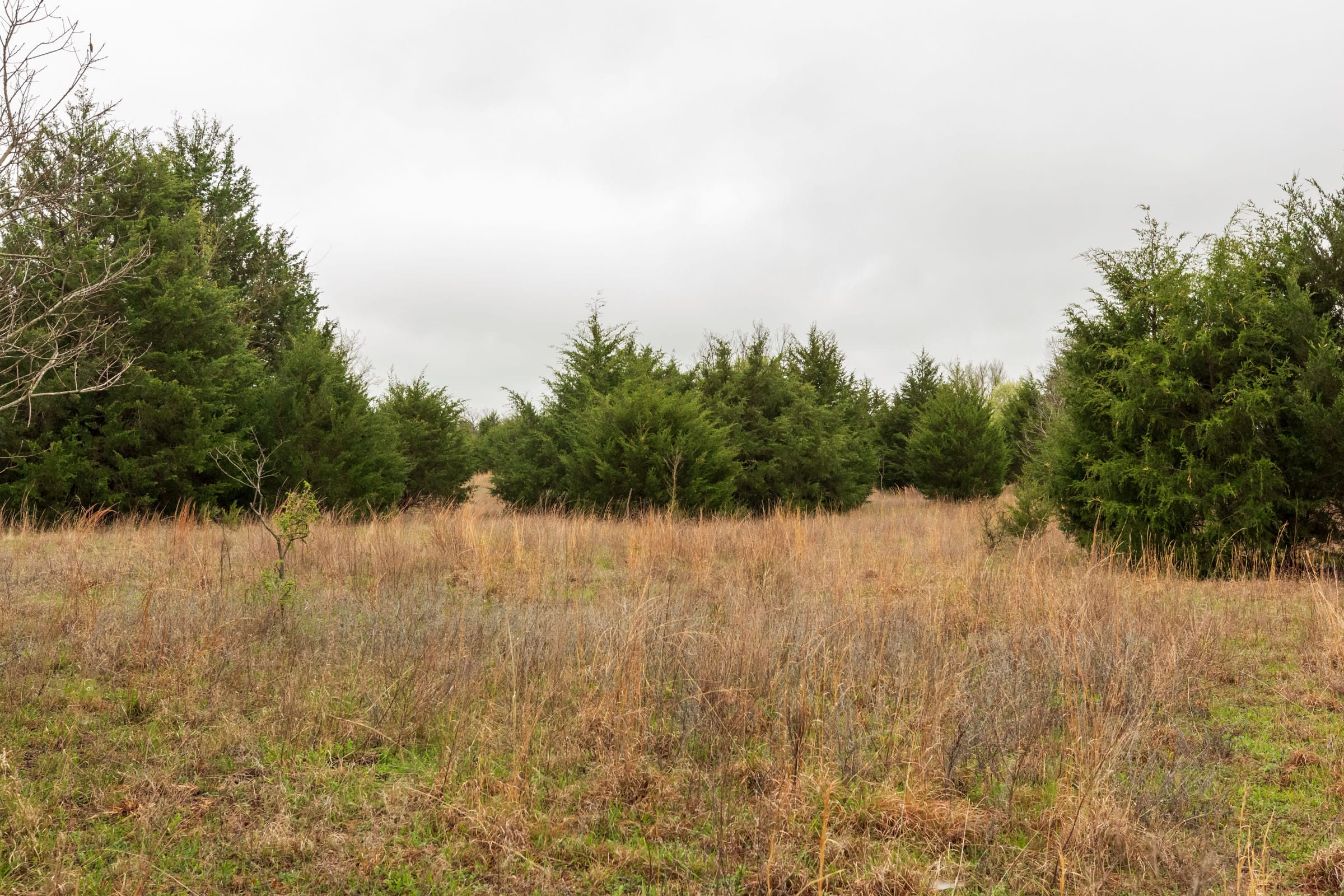 Moonrise Meadows Tract 2 photo 13
