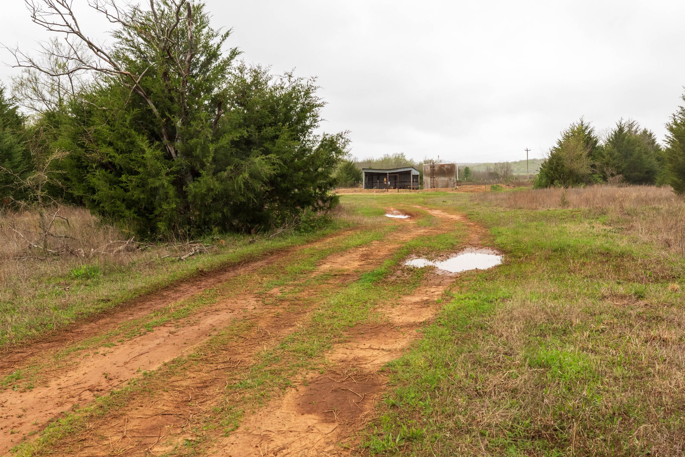 Moonrise Meadows Tract 2 photo 9