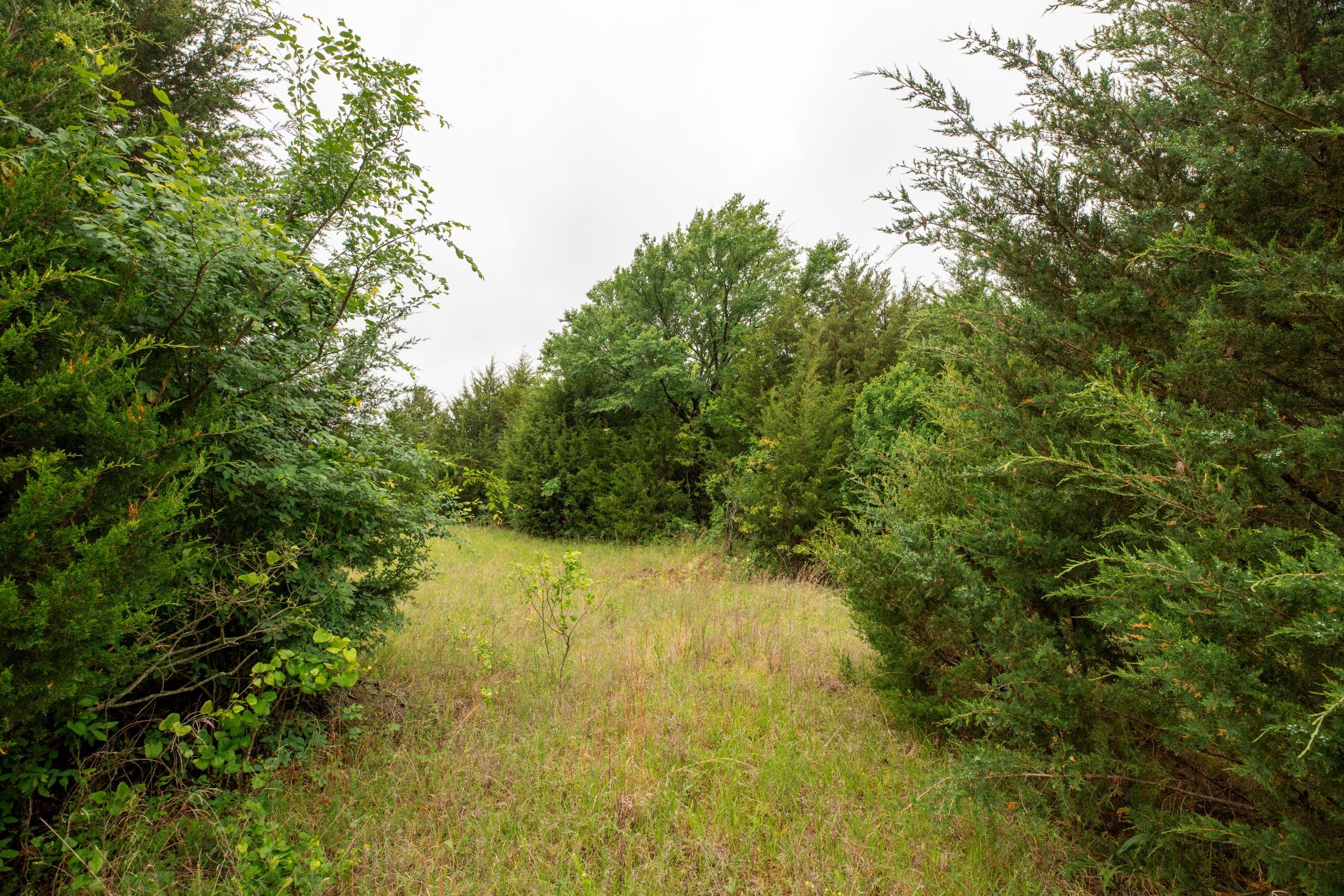 Moonrise Meadows Tract 2 photo 7