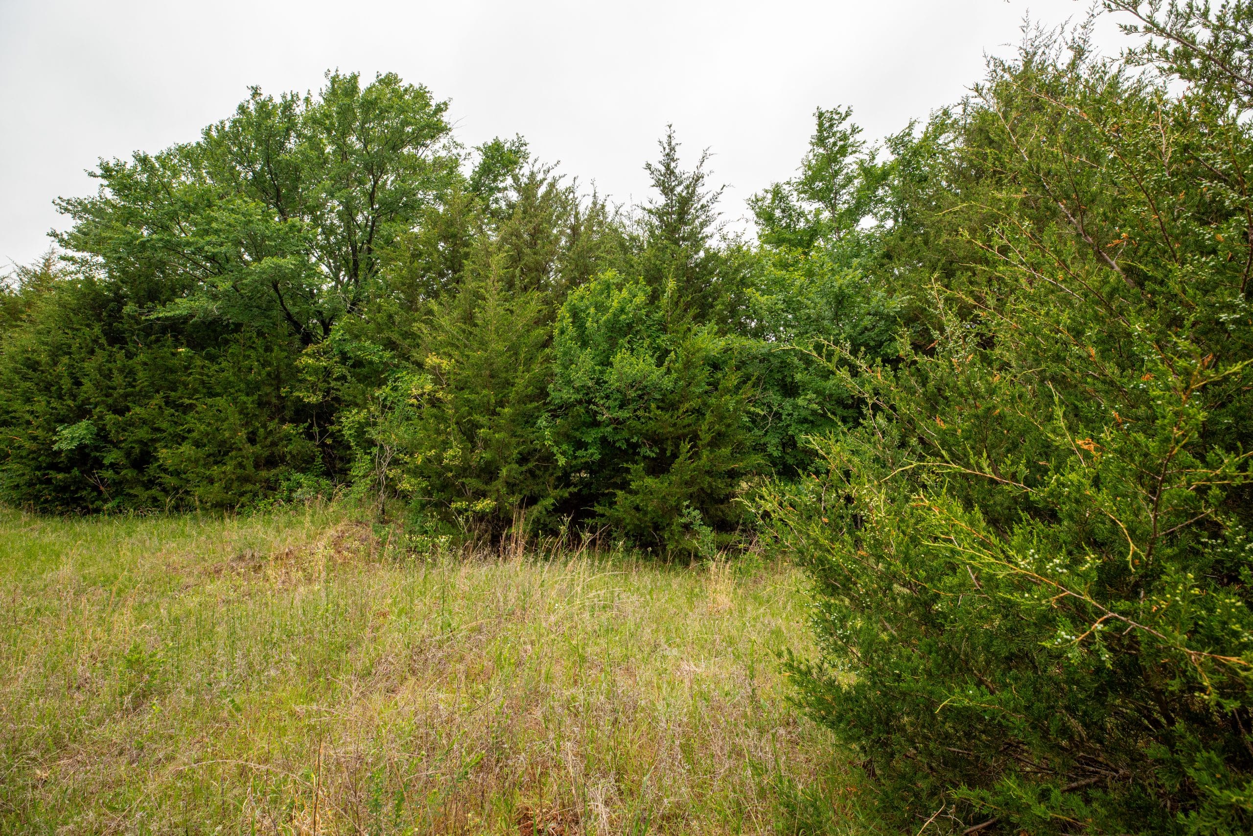 Moonrise Meadows Tract 2 photo 11