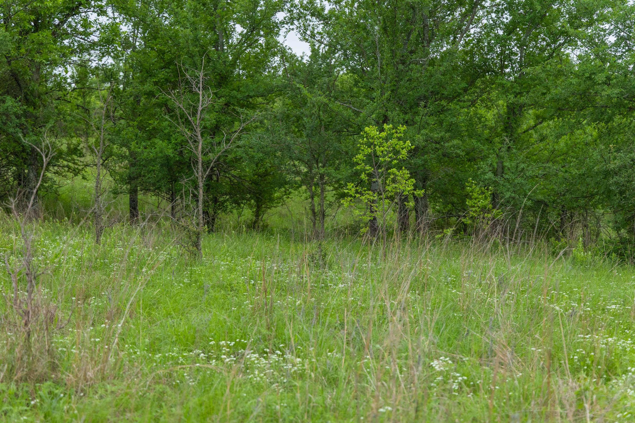Harmony Hills Tract 3 photo 11