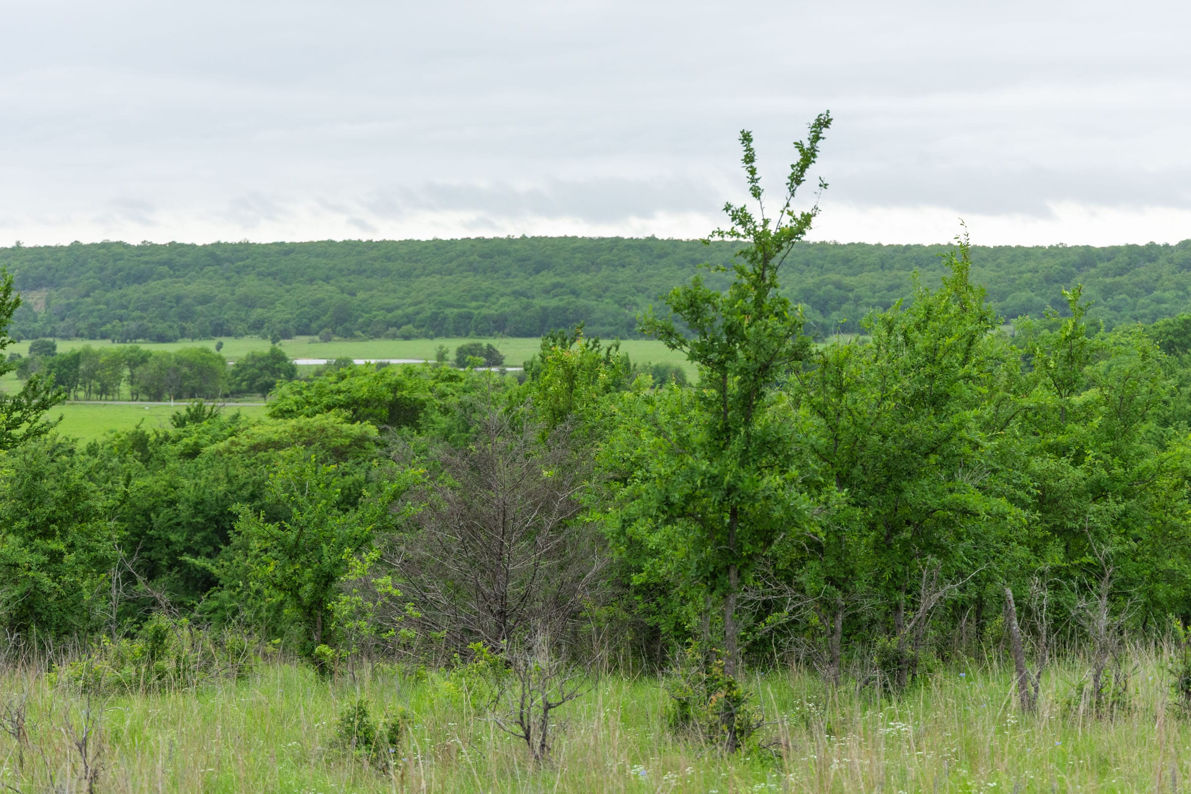 Harmony Hills Tract 3 photo 4