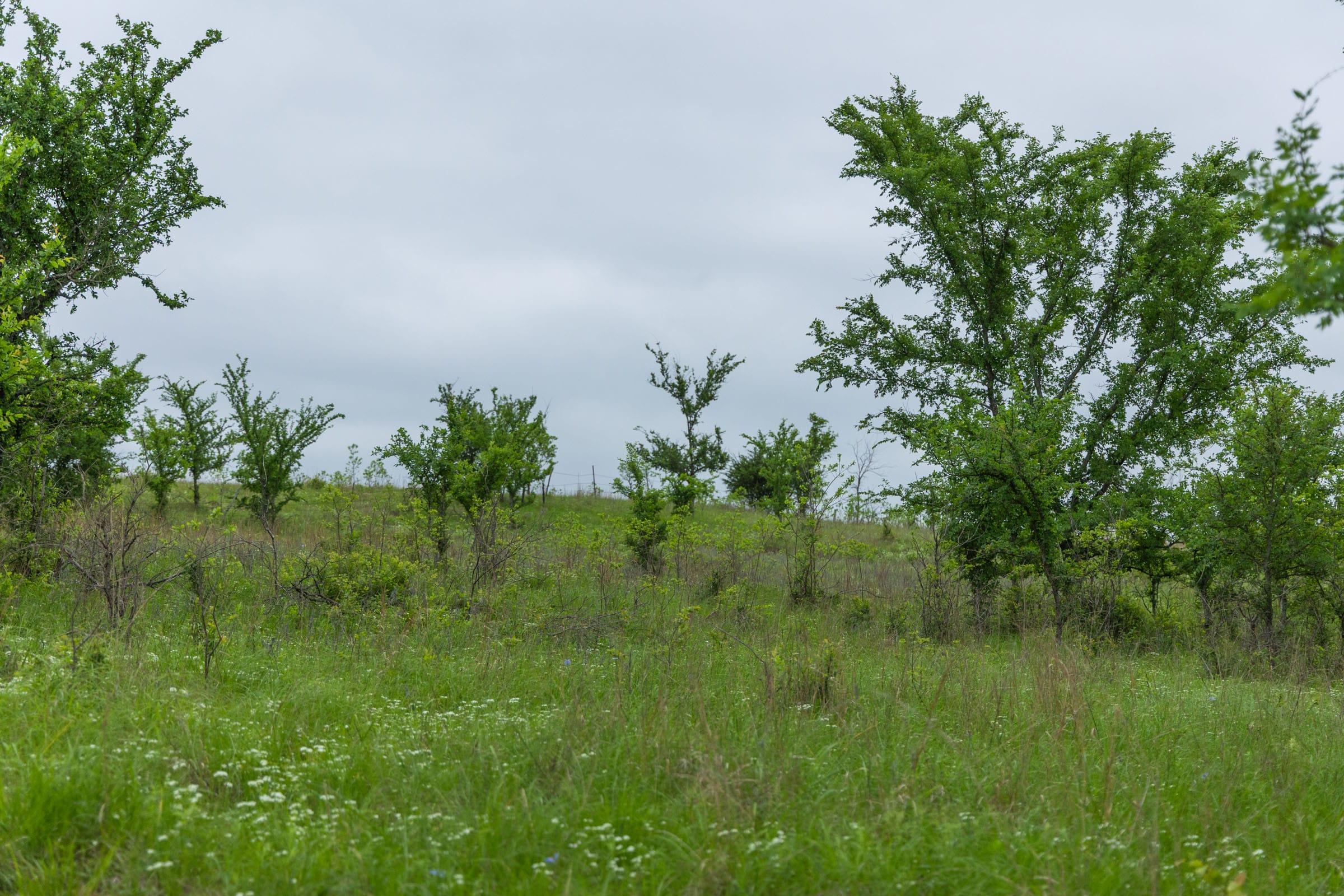 Harmony Hills Tract 3 photo 3