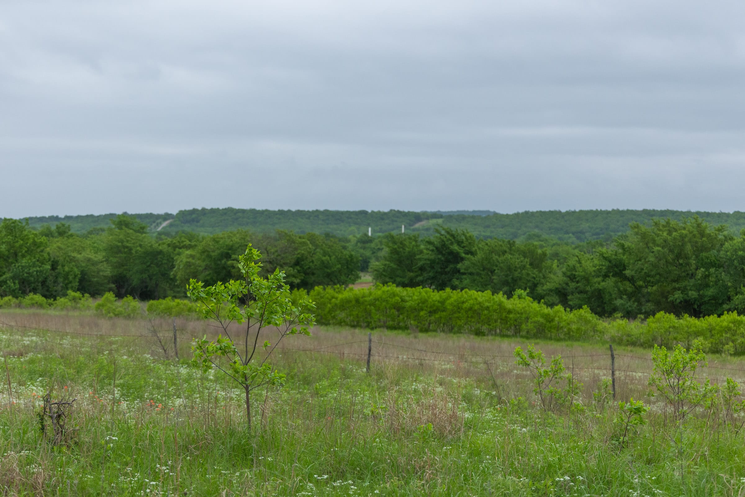 Harmony Hills Tract 3 photo 5
