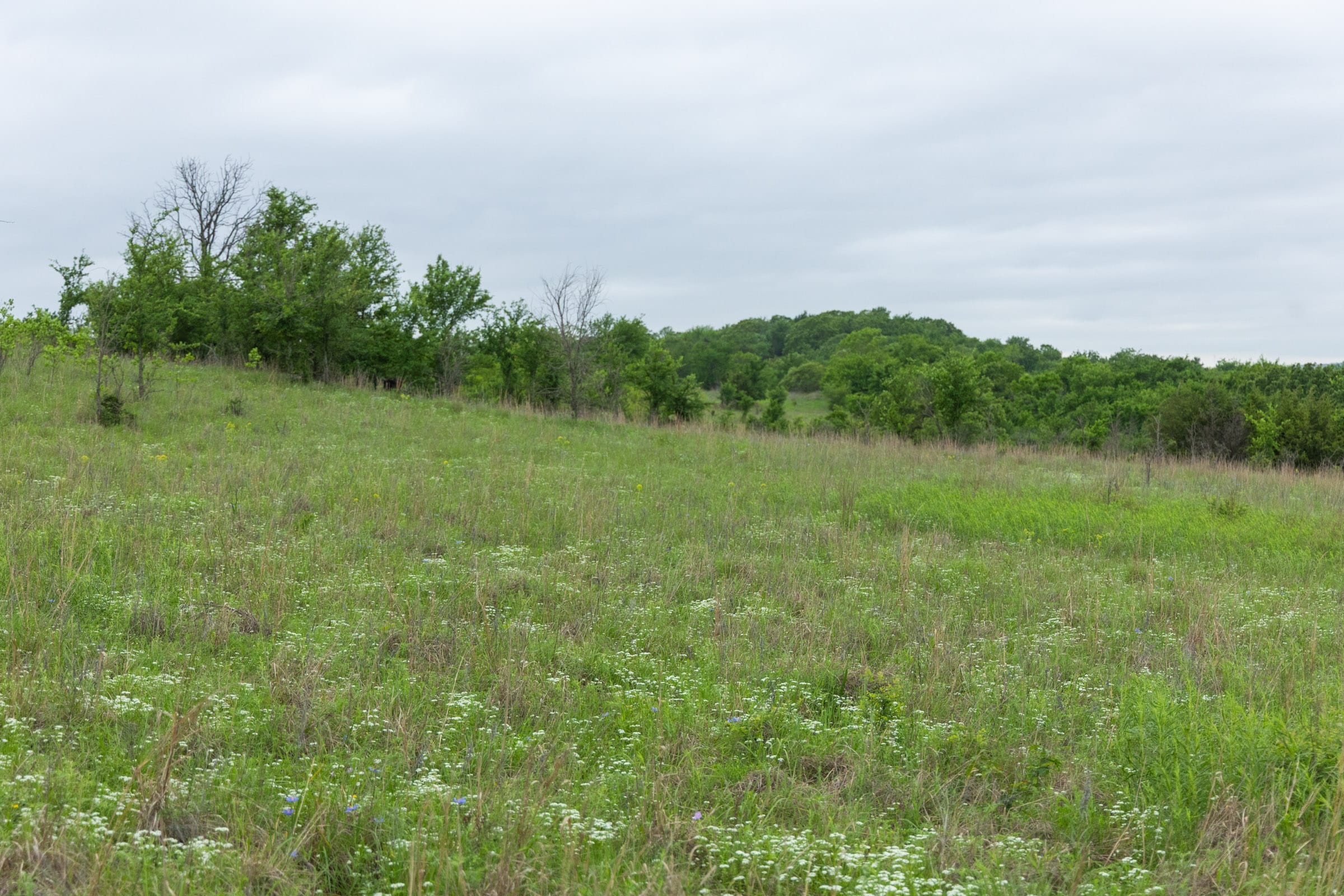 Harmony Hills Tract 3 photo 8