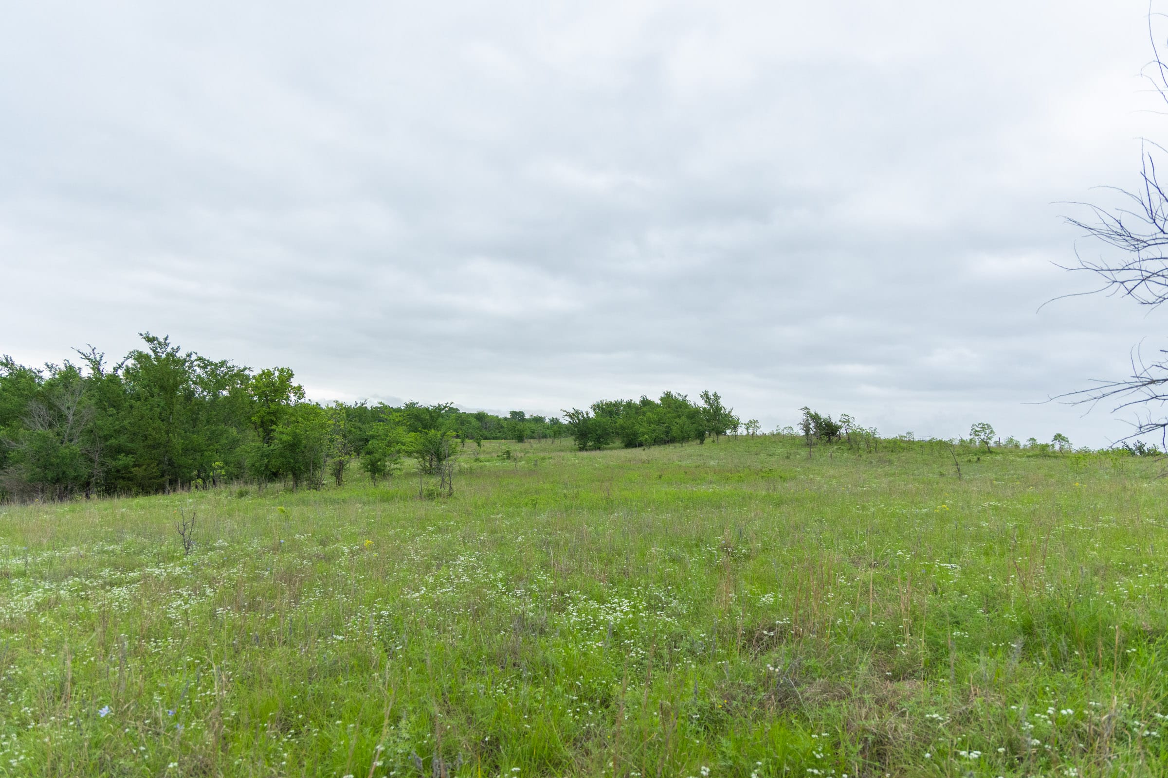 Harmony Hills Tract 3 photo 7