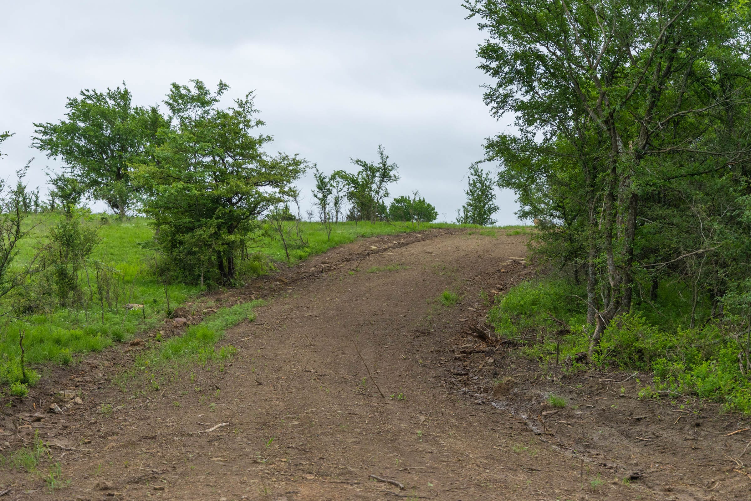 Harmony Hills Tract 3 photo 6