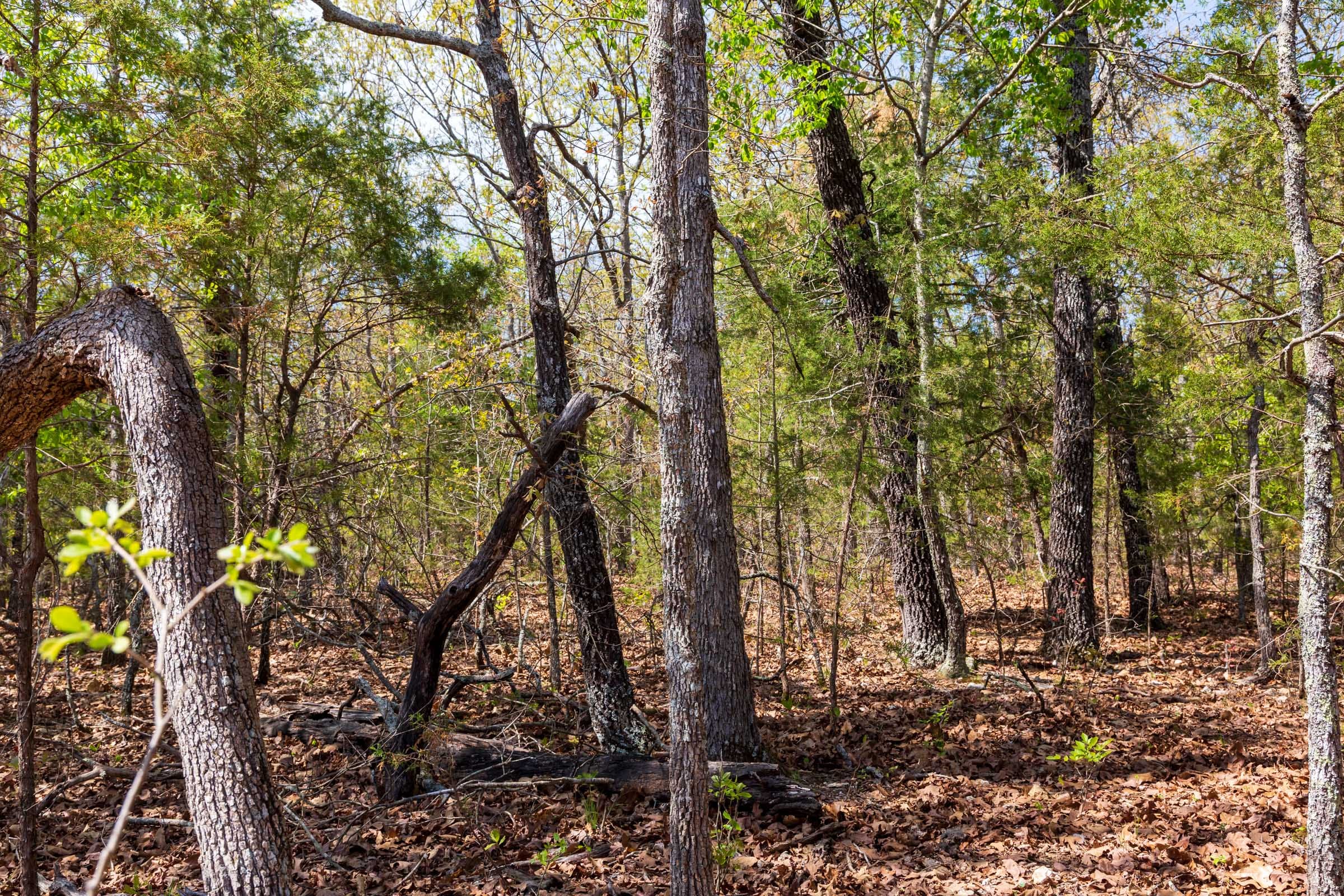 Autumnwood Tract 8 photo 1