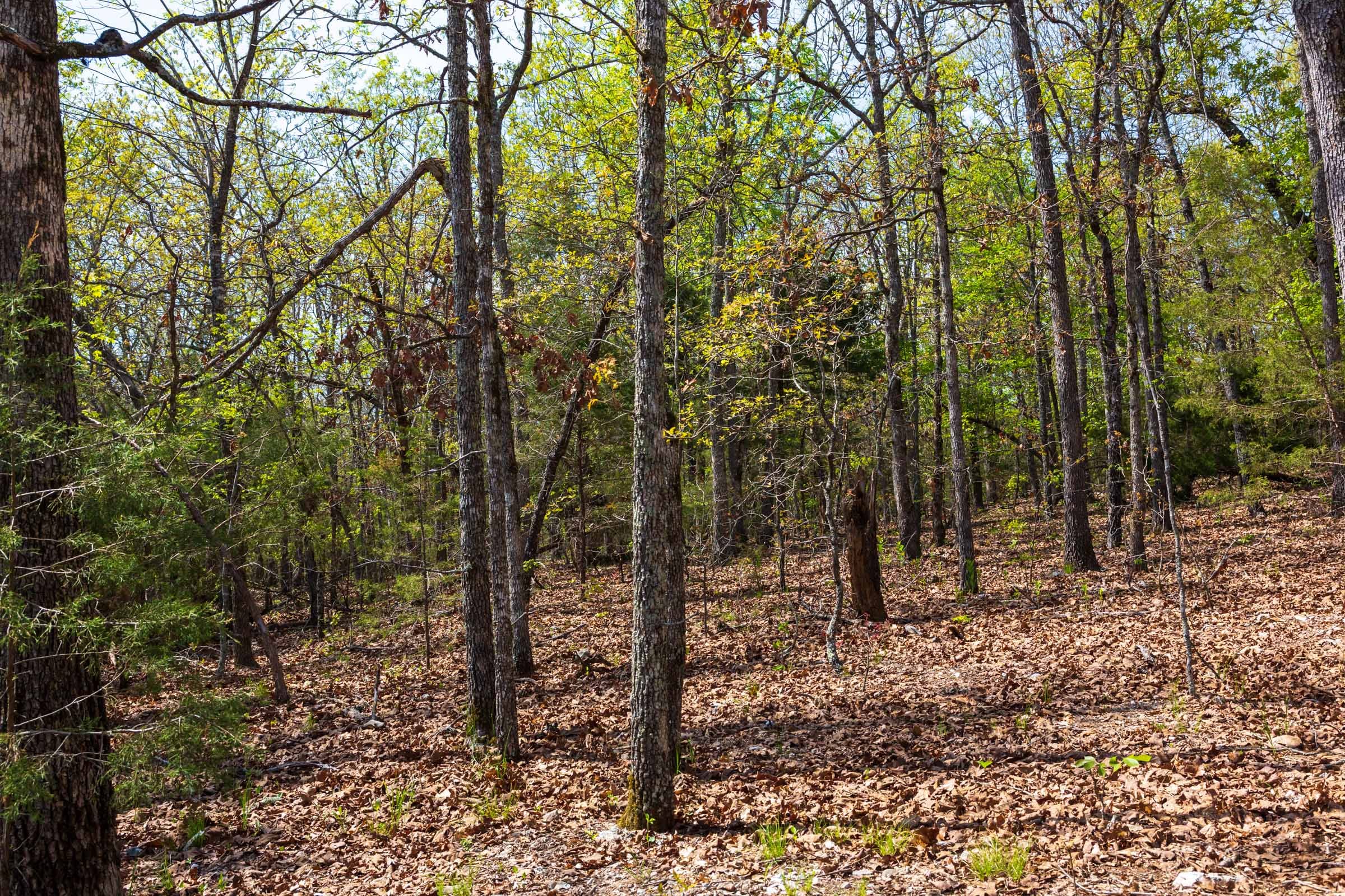 Autumnwood Tract 8 photo 11