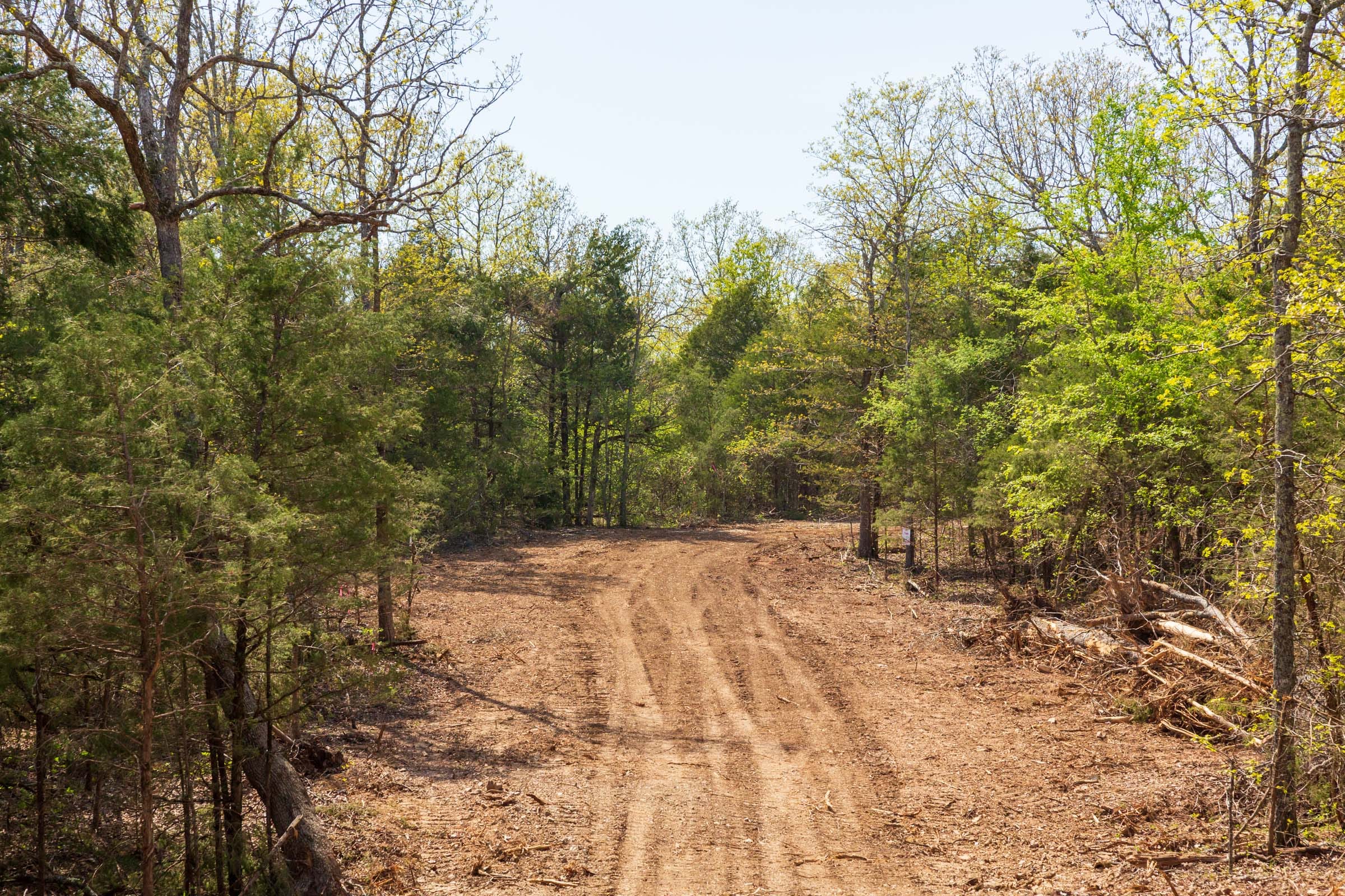 Autumnwood Tract 8 photo 20