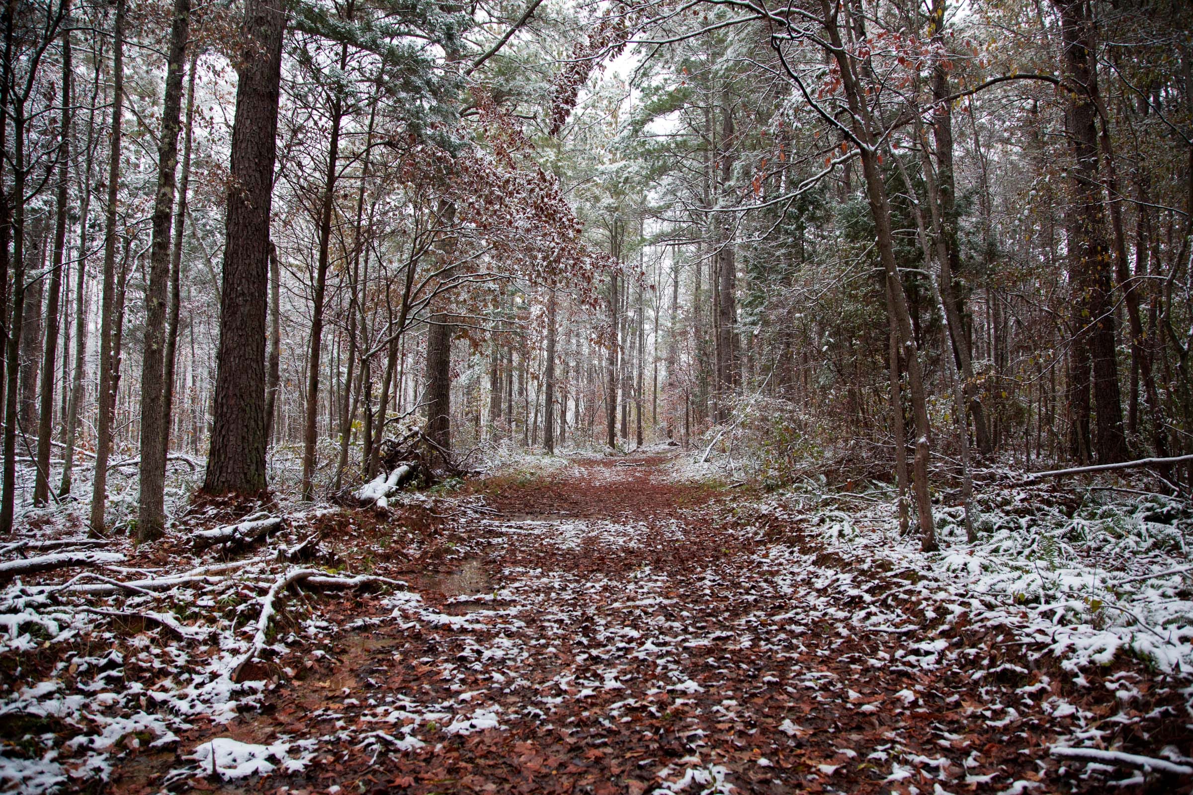 Sweet Water Ranch Tract 16 photo 1