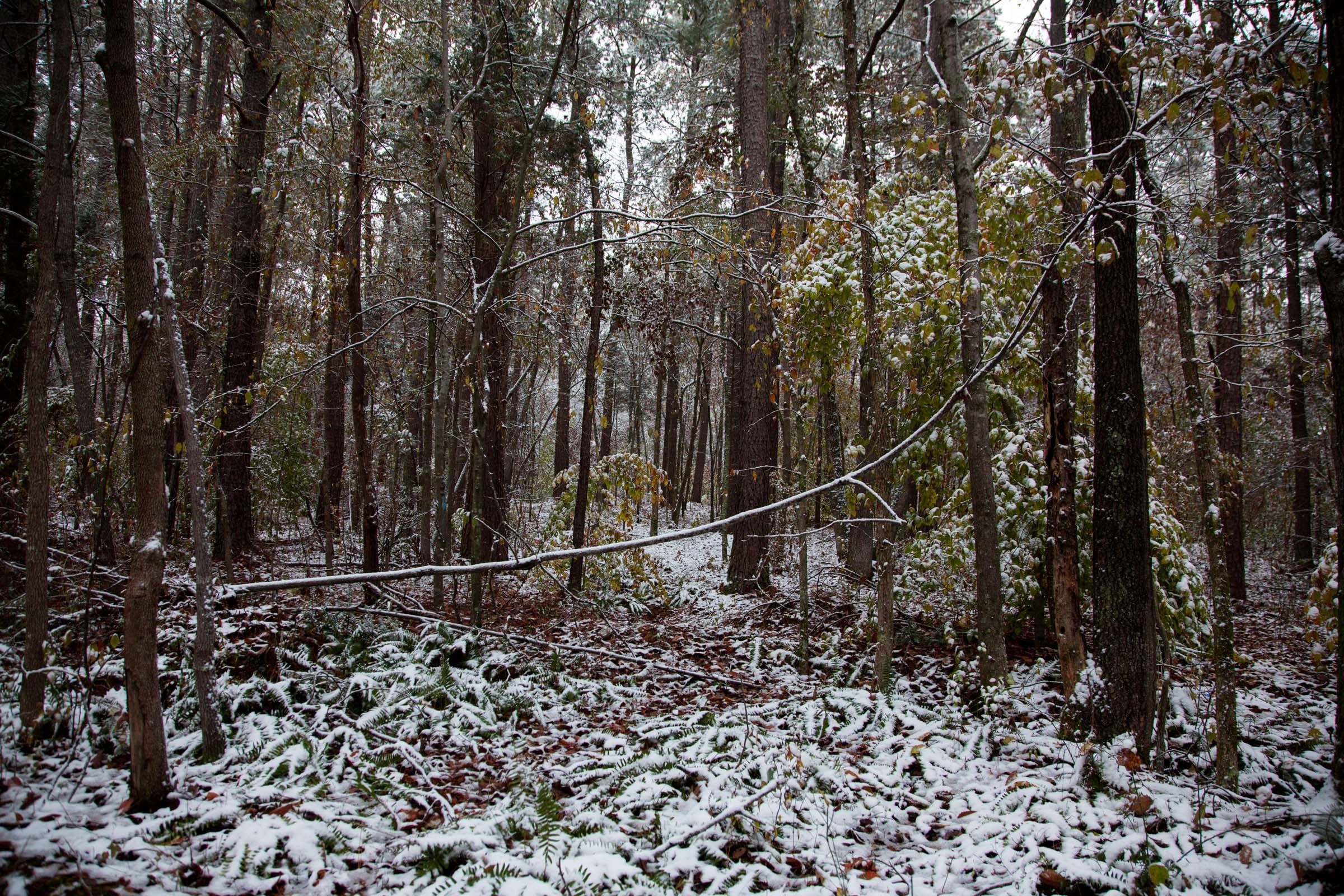 Sweet Water Ranch Tract 16 photo 2