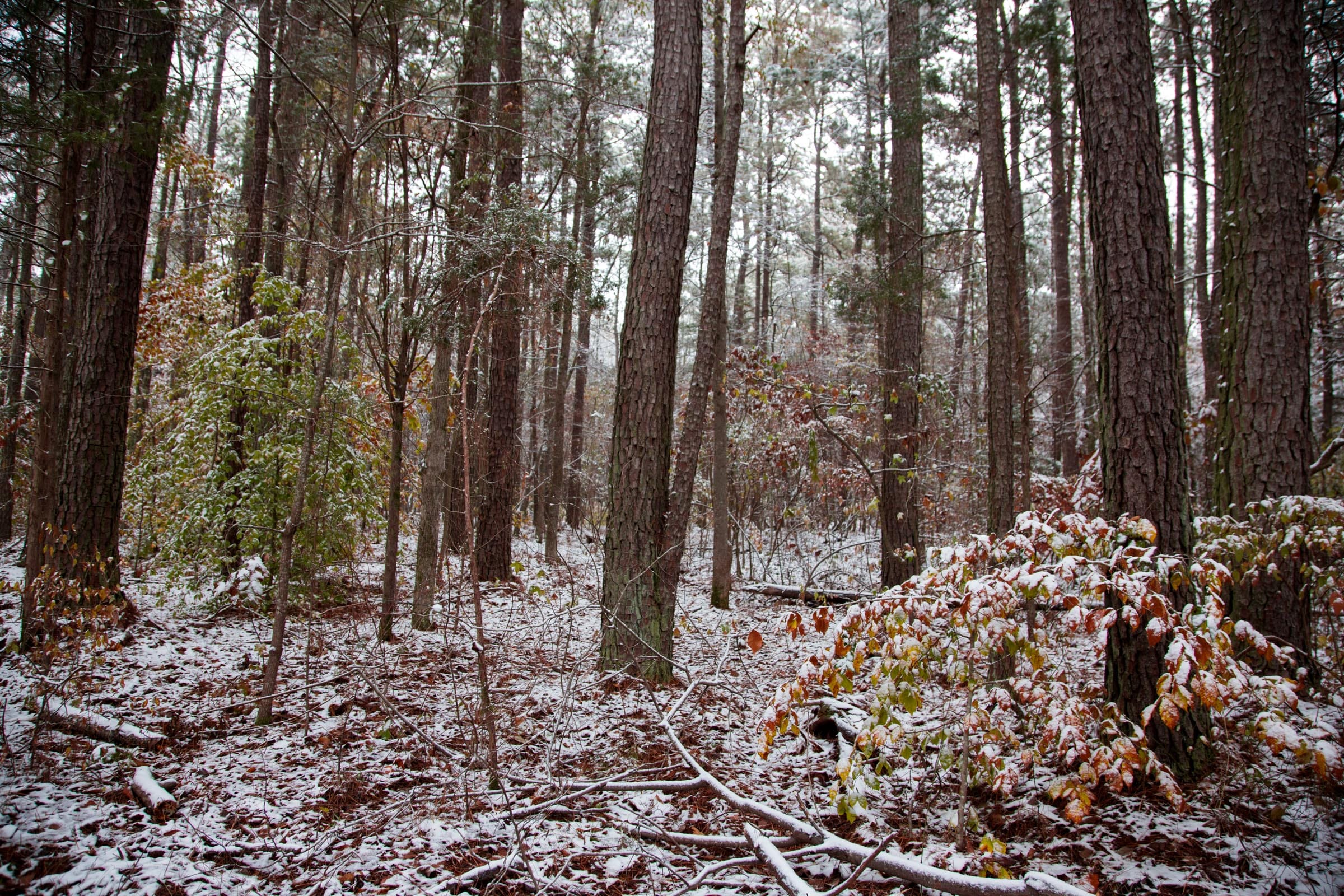 Sweet Water Ranch Tract 16 photo 3