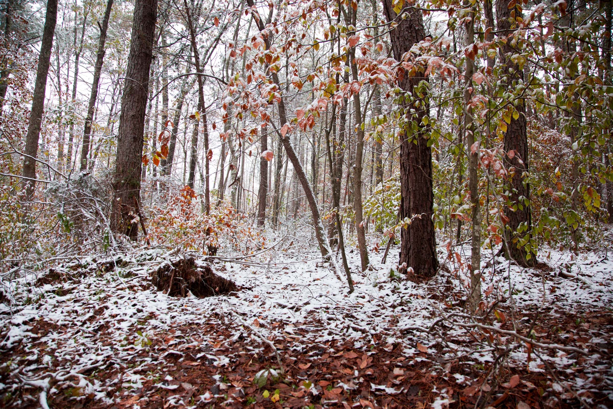 Sweet Water Ranch Tract 16 photo 11