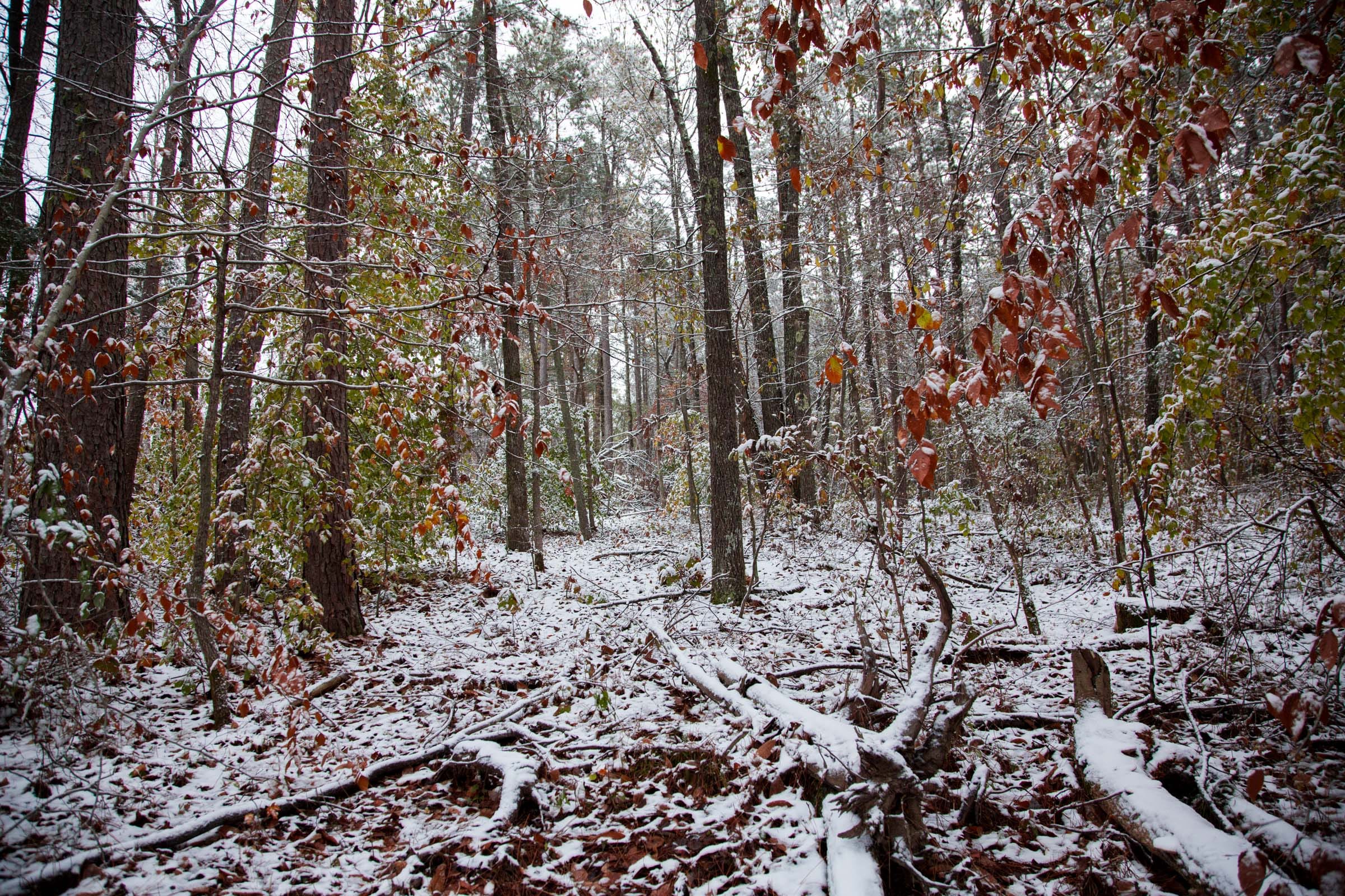 Sweet Water Ranch Tract 16 photo 4