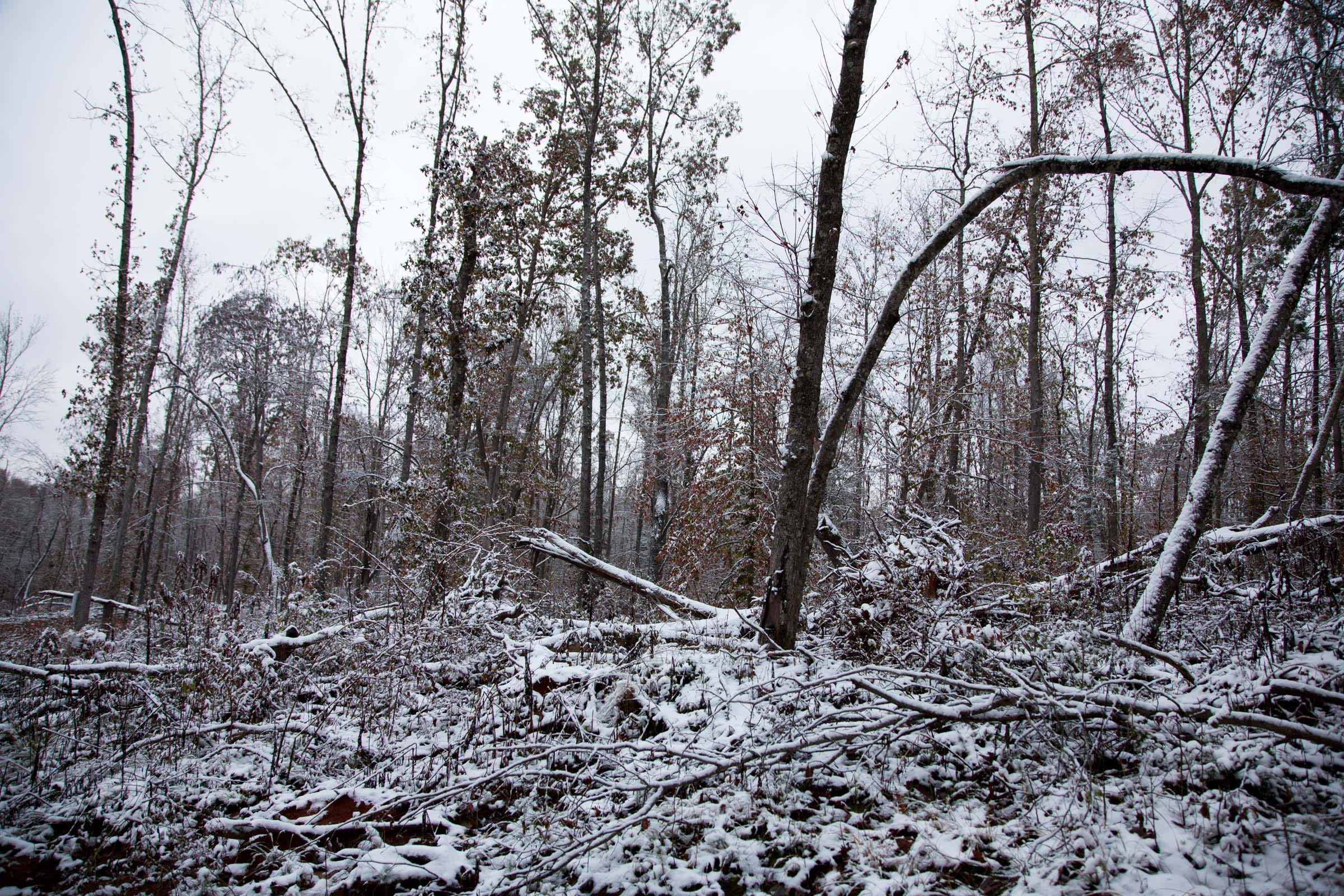 Sweet Water Ranch Tract 16 photo 5