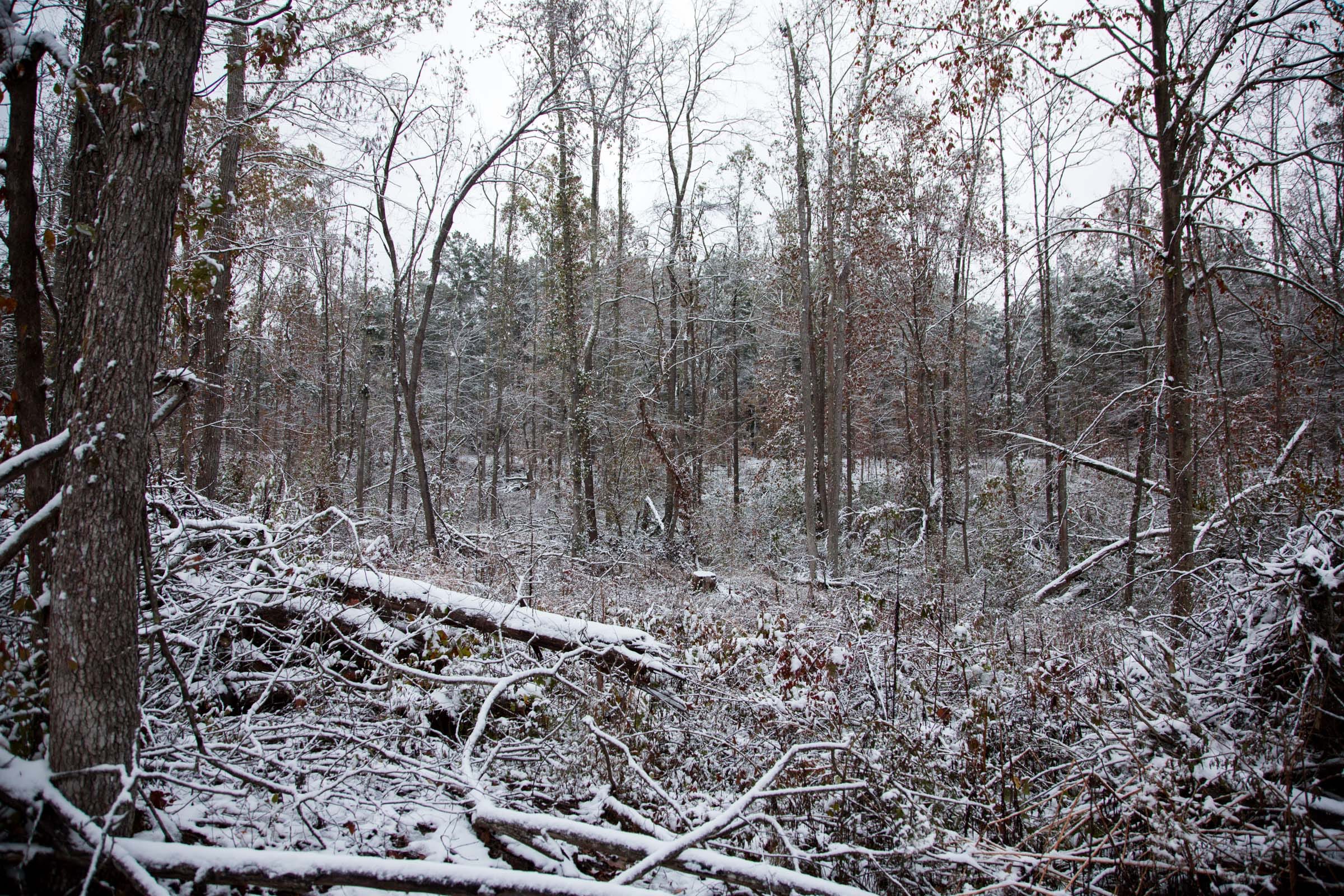 Sweet Water Ranch Tract 16 photo 7