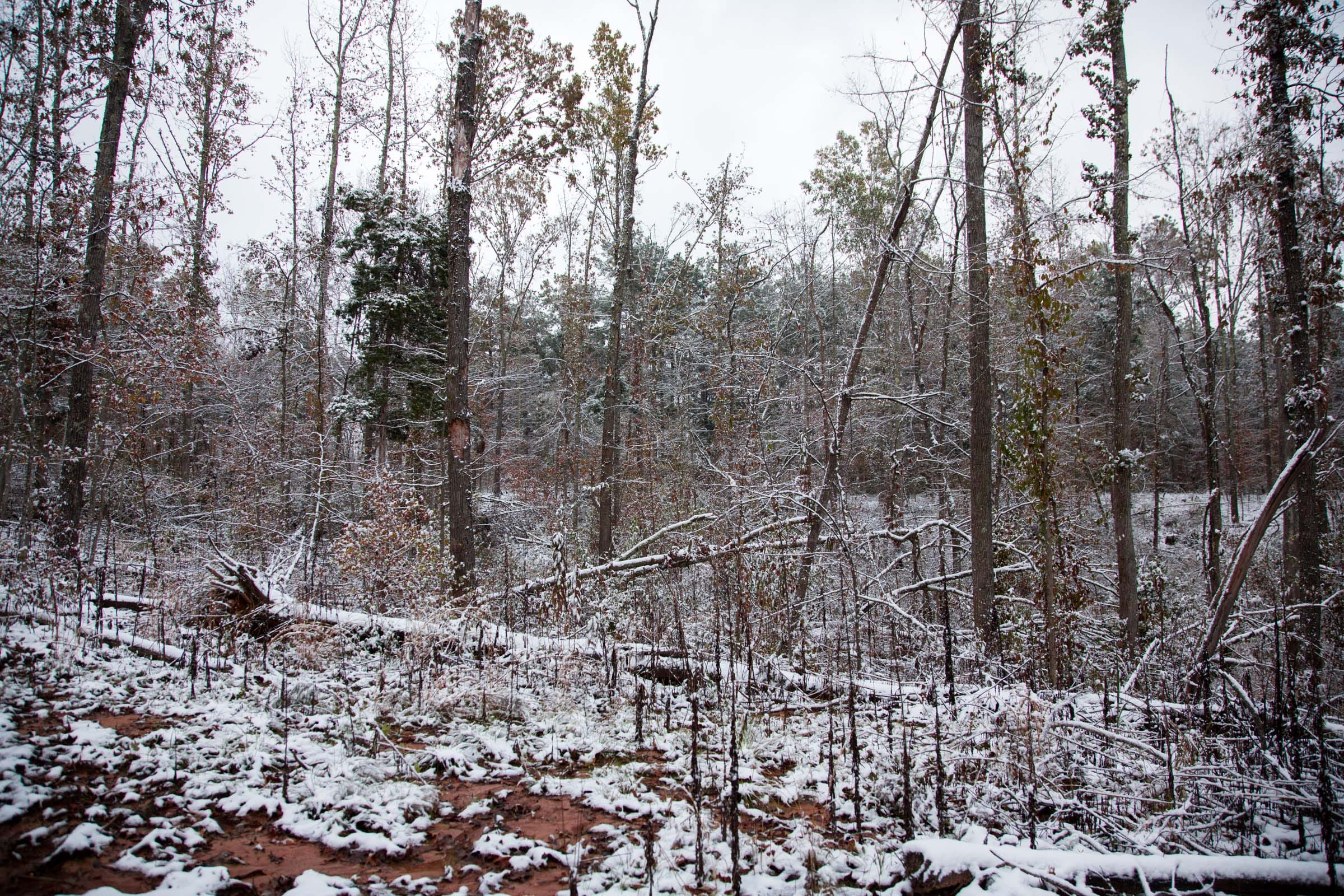 Sweet Water Ranch Tract 16 photo 8
