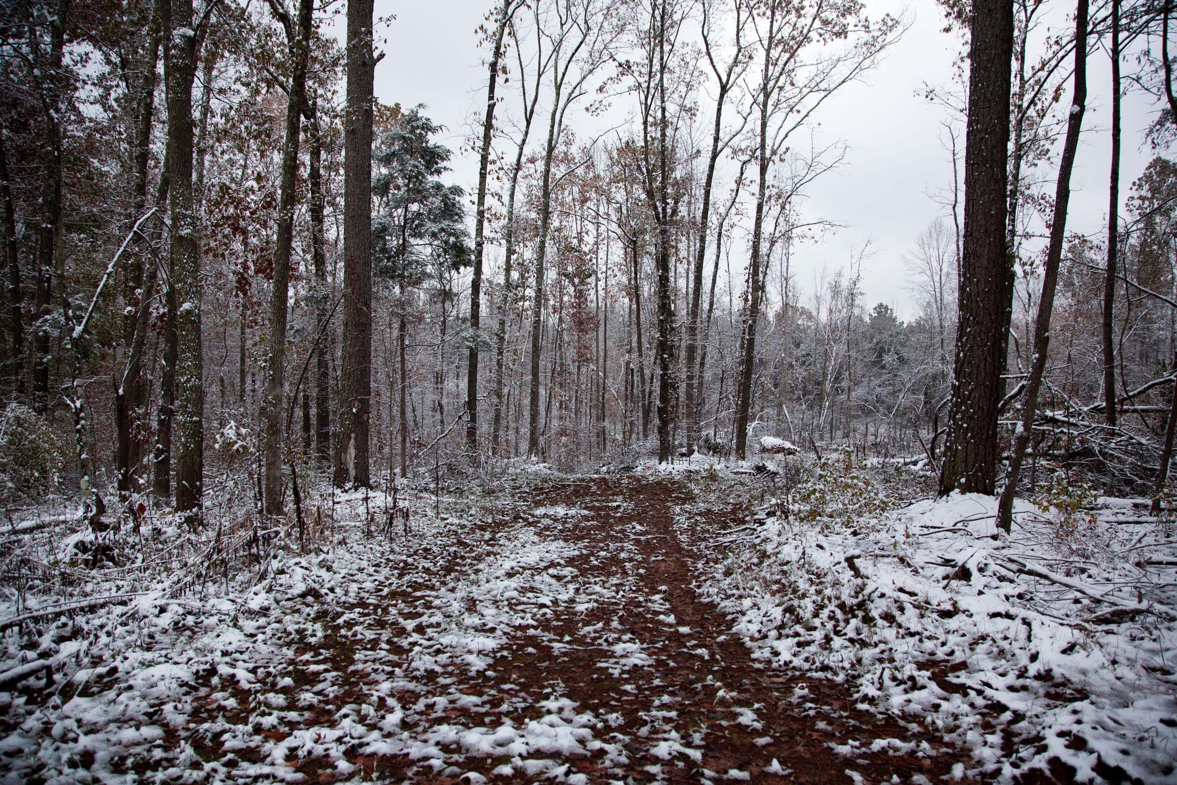 Sweet Water Ranch Tract 16 photo 9