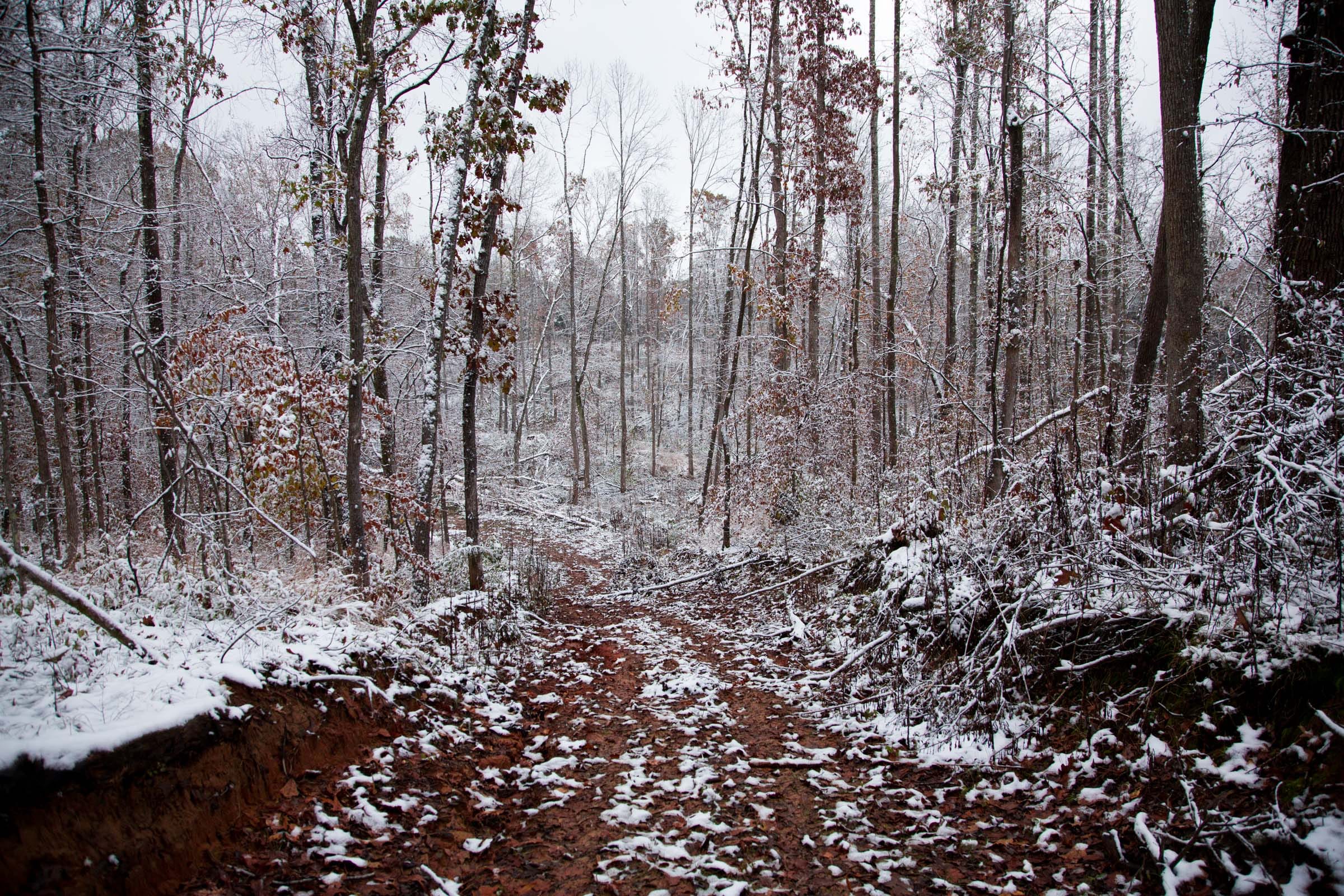 Sweet Water Ranch Tract 16 photo 10