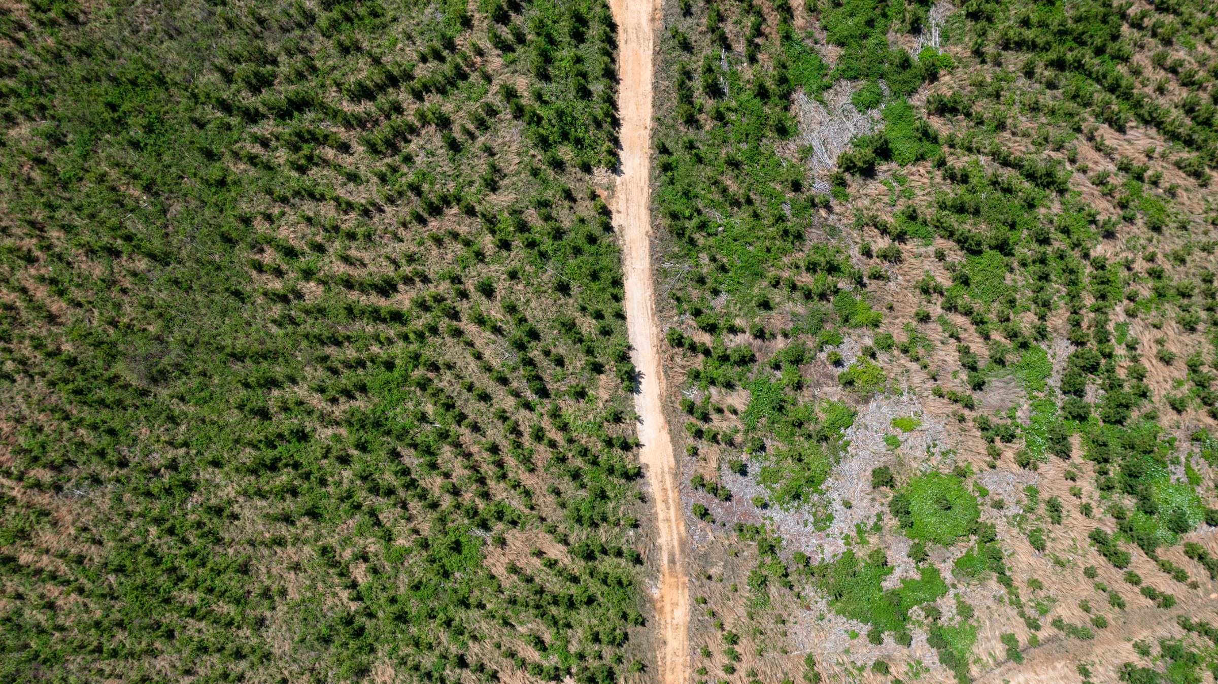 Clear Wood Tract 44 photo 2