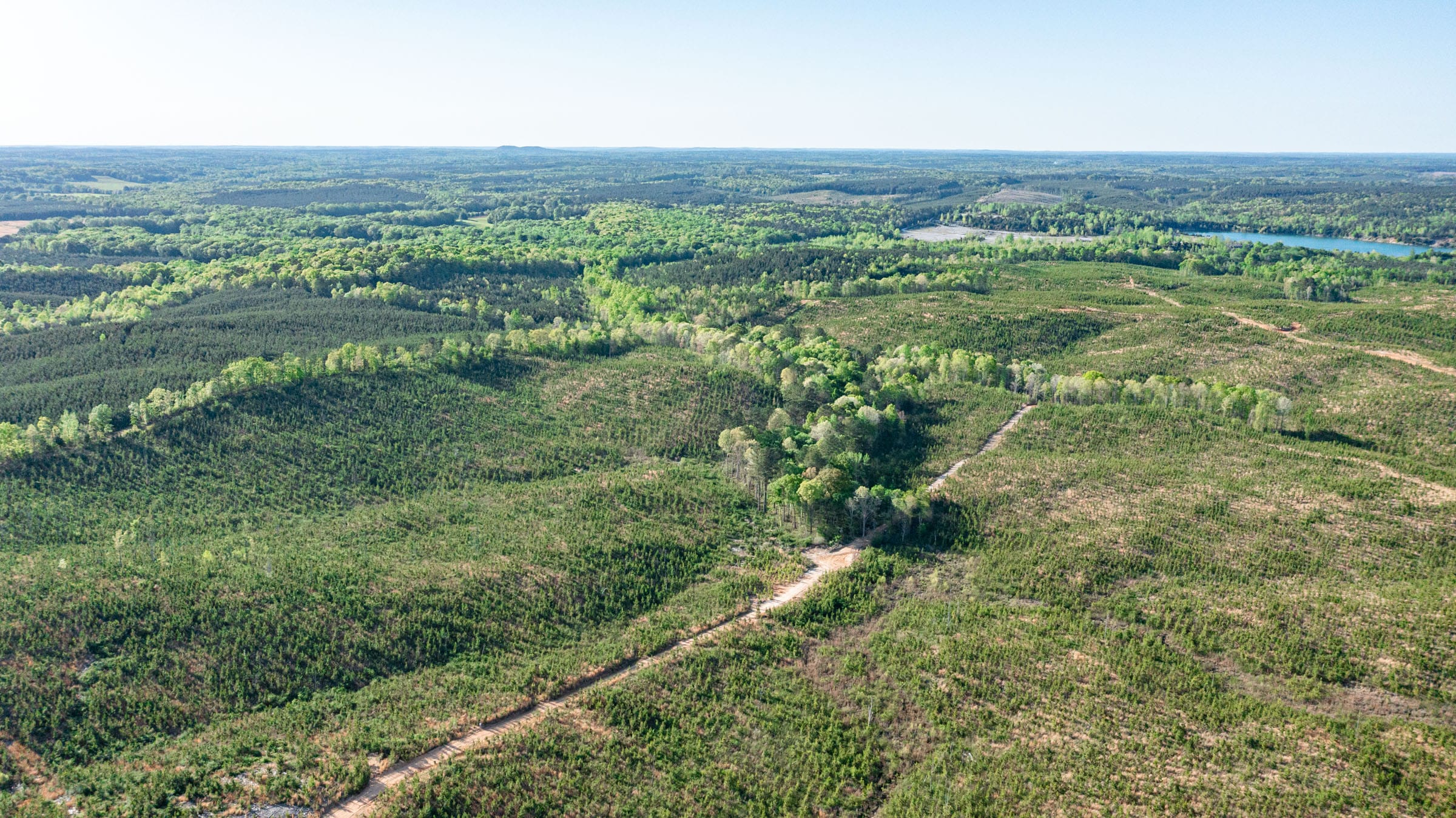 Clear Wood Tract 44 photo 3