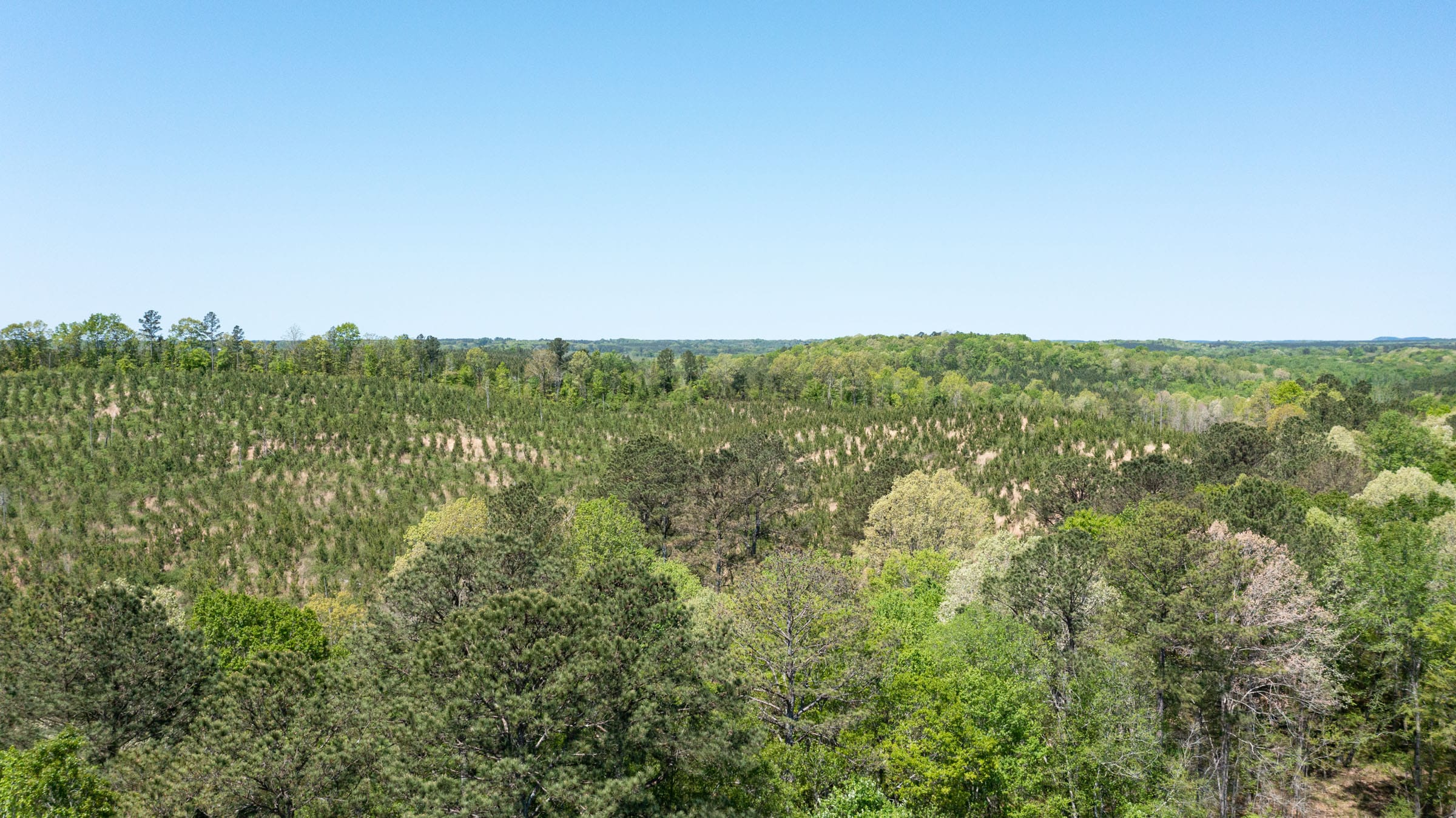 Clear Wood Tract 44 photo 5
