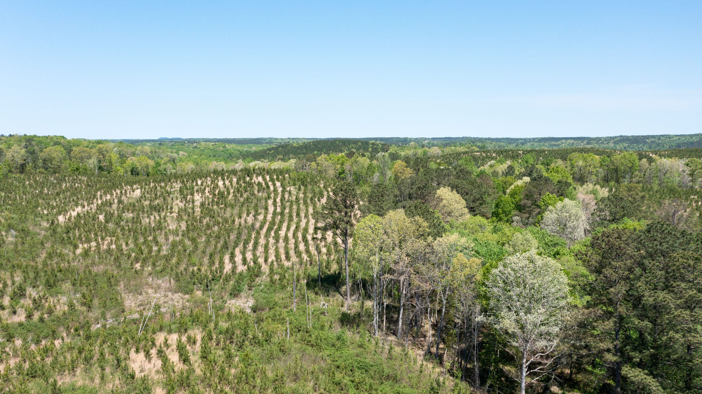 Clear Wood Tract 44 photo 6