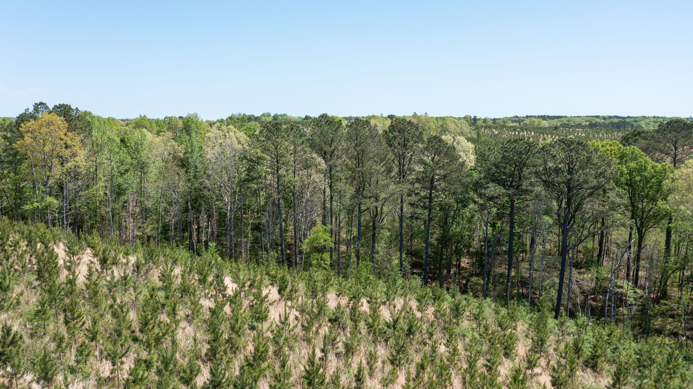 Clear Wood Tract 44 photo 9