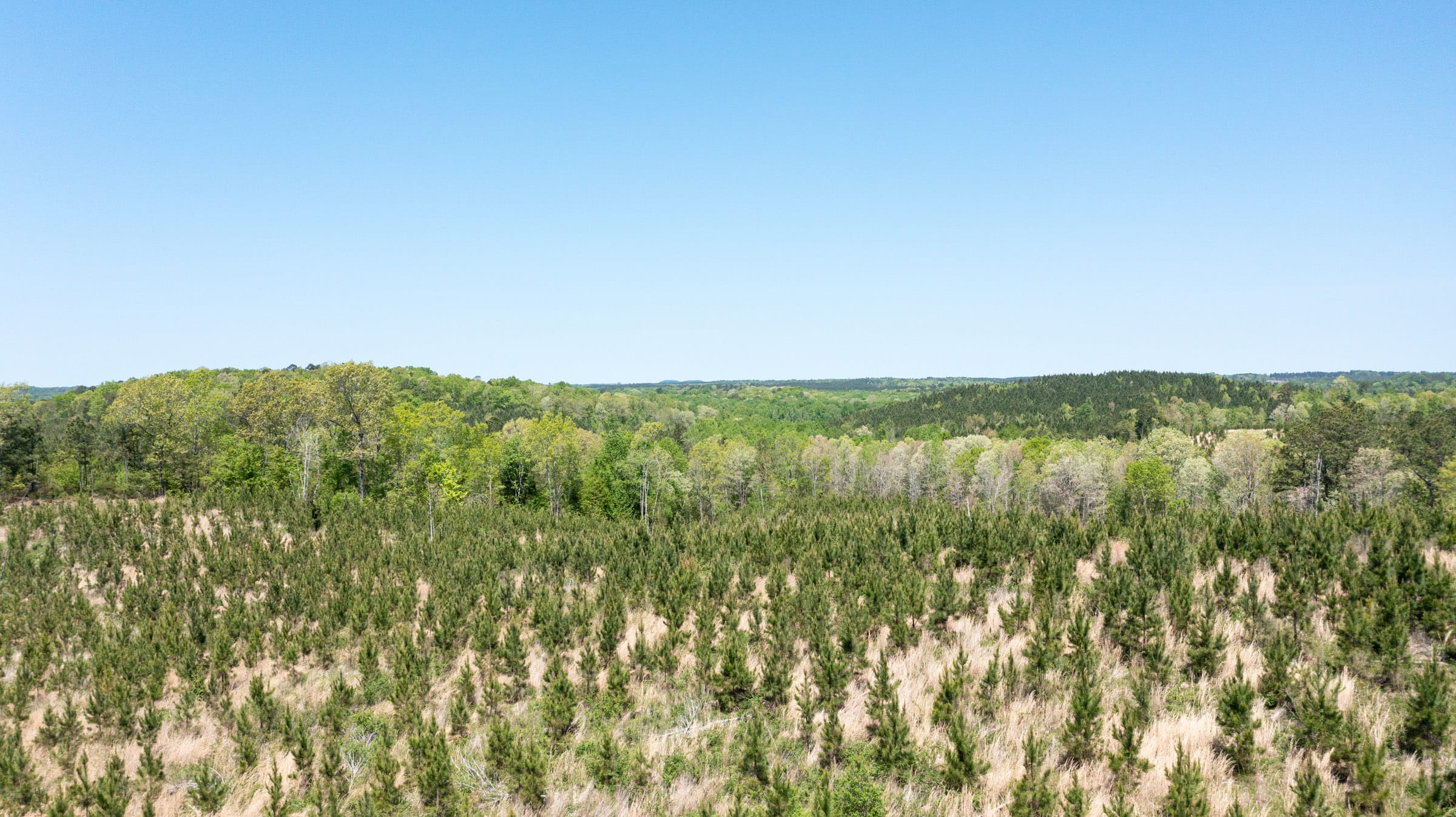 Clear Wood Tract 44 photo 10