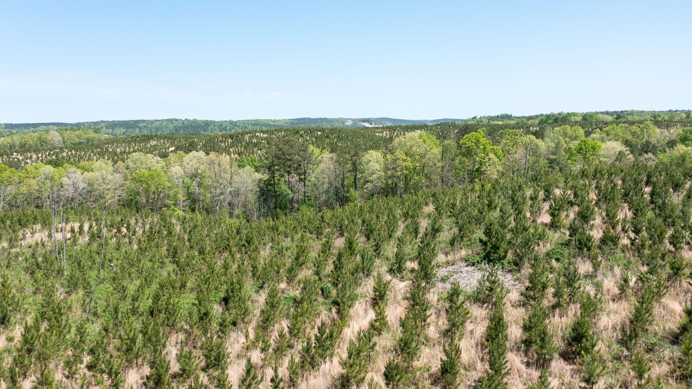 Clear Wood Tract 44 photo 11