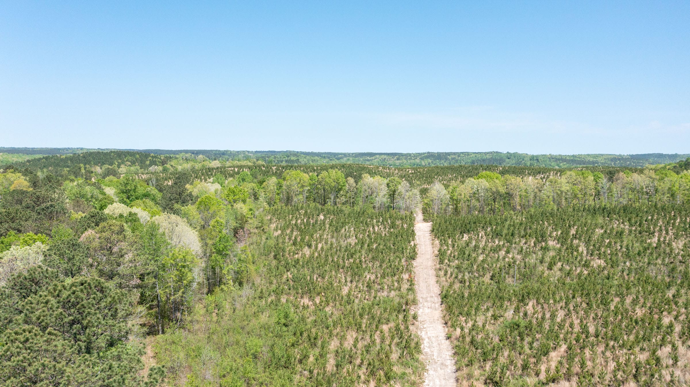 Clear Wood Tract 44 photo 12
