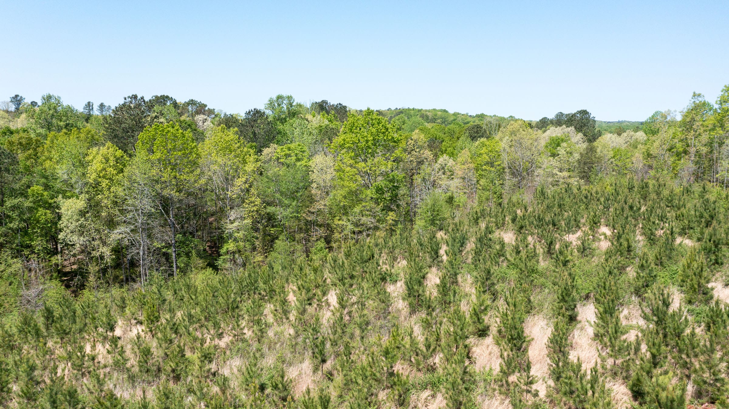 Clear Wood Tract 44 photo 14