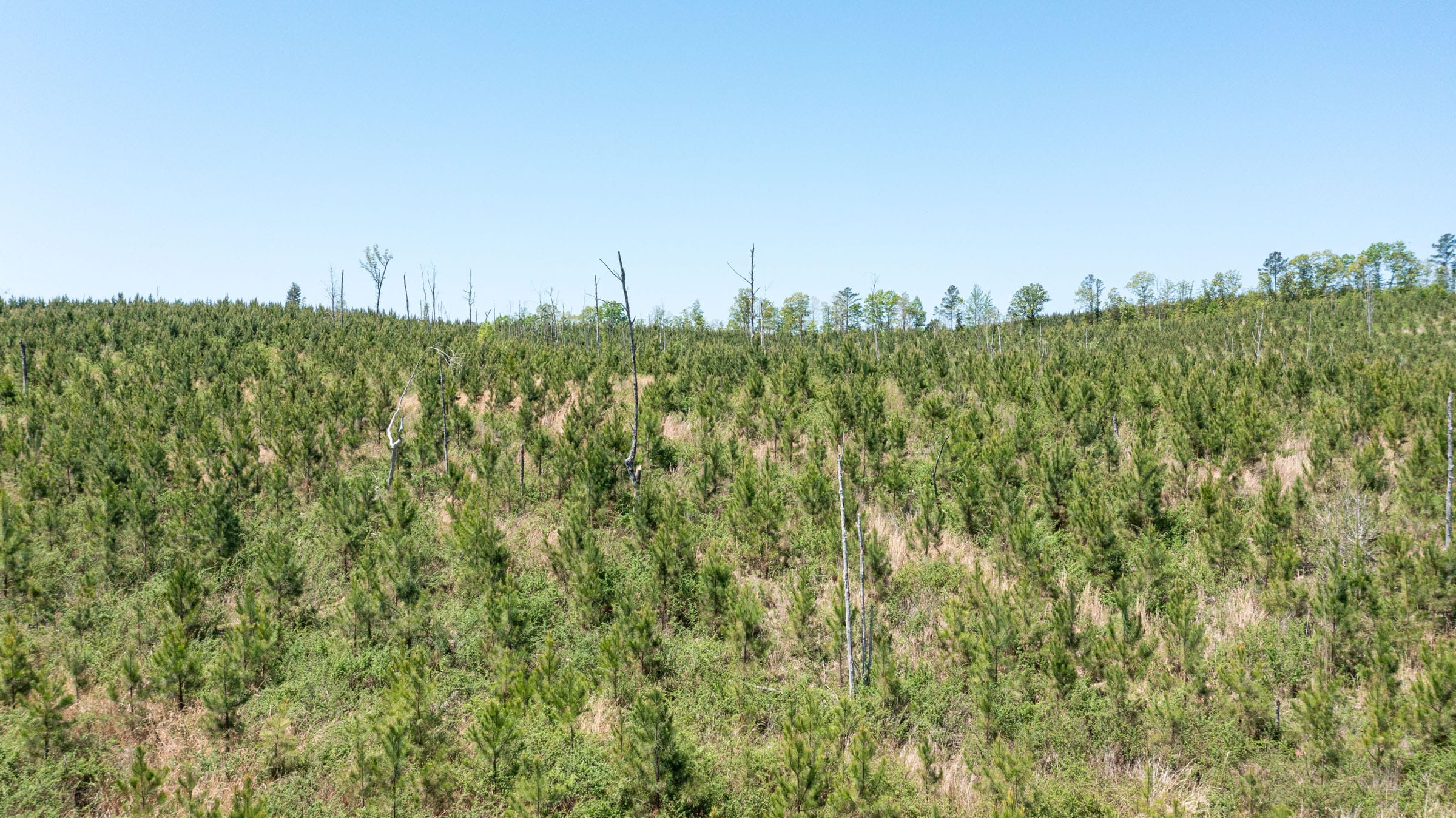 Clear Wood Tract 44 photo 15