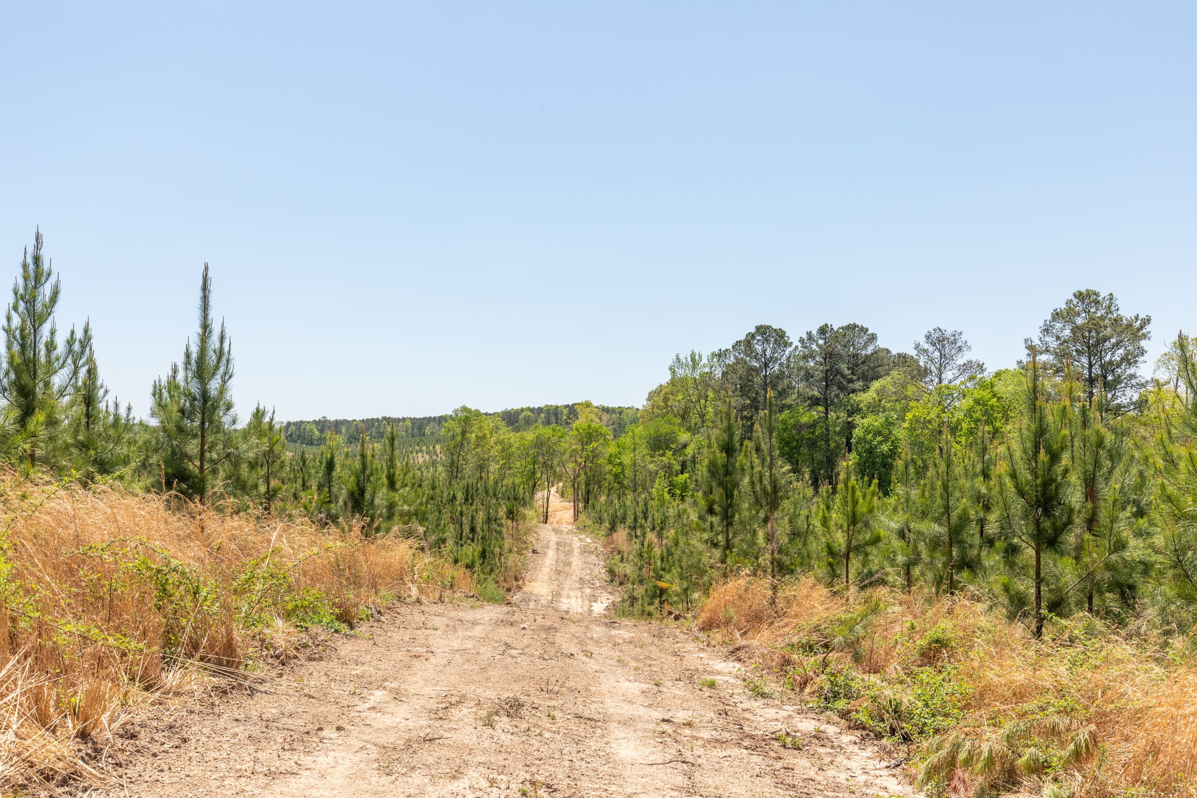Clear Wood Tract 44 photo 22