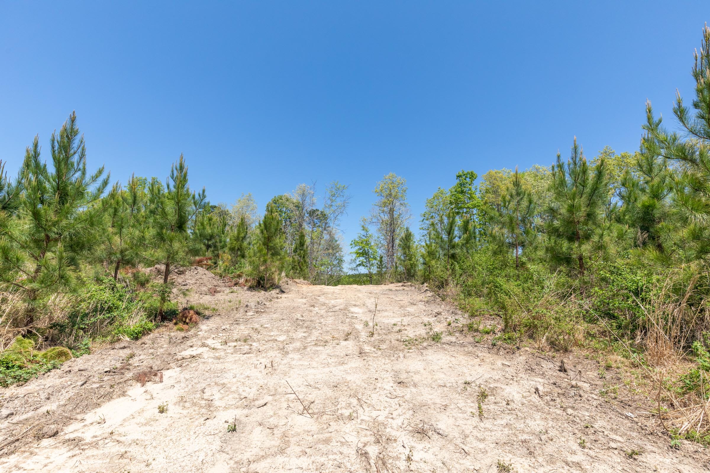 Clear Wood Tract 44 photo 23